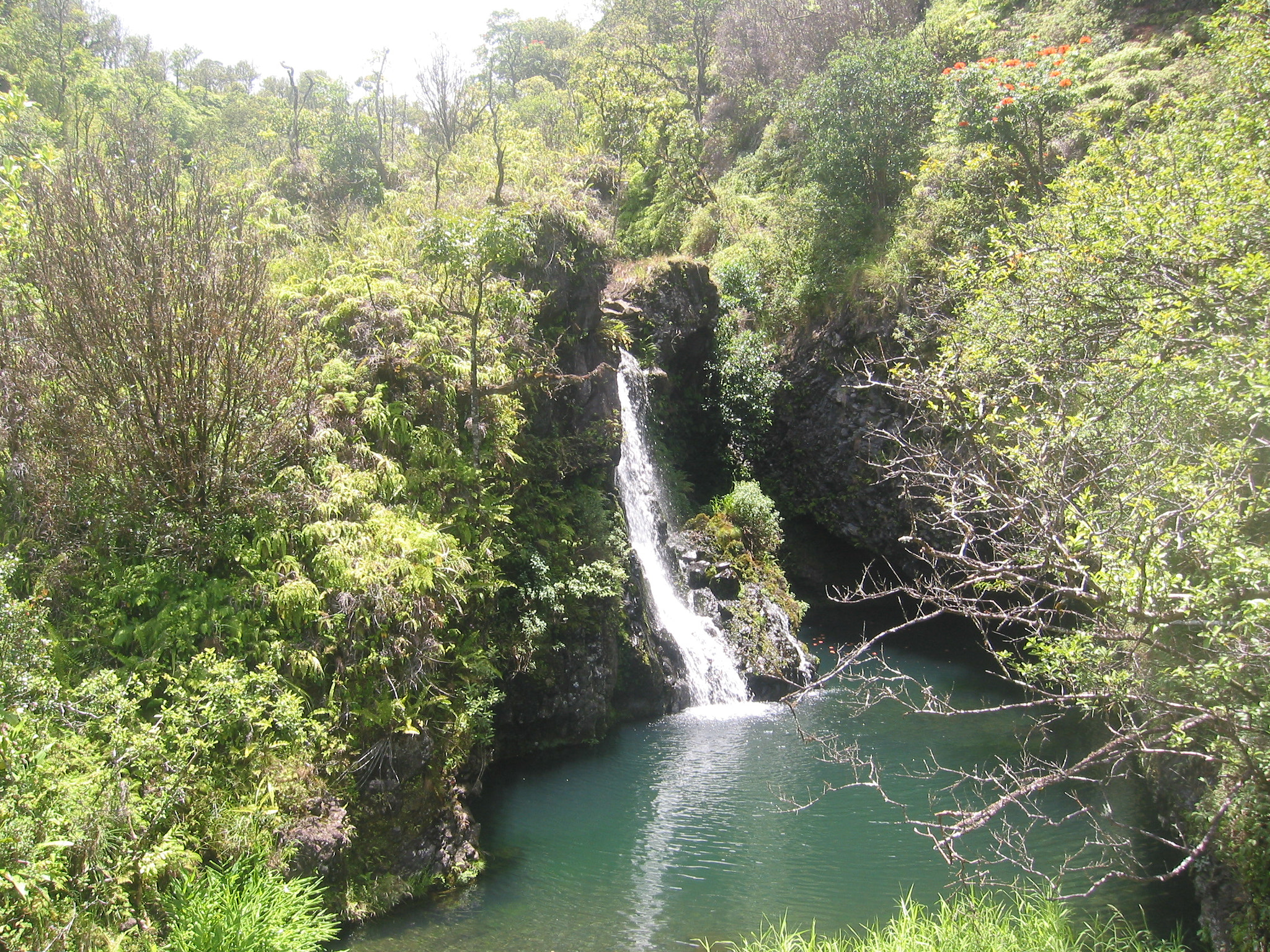 Canon POWERSHOT S40 sample photo. Maui - hawaii photography