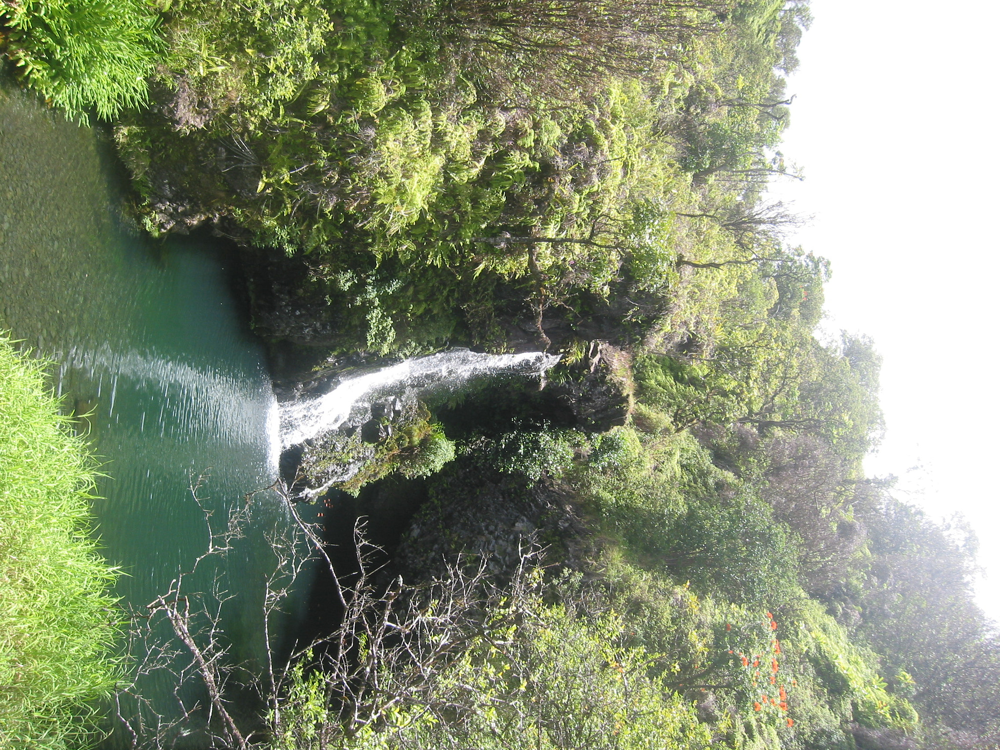 Canon POWERSHOT S40 sample photo. Maui - hawaii photography