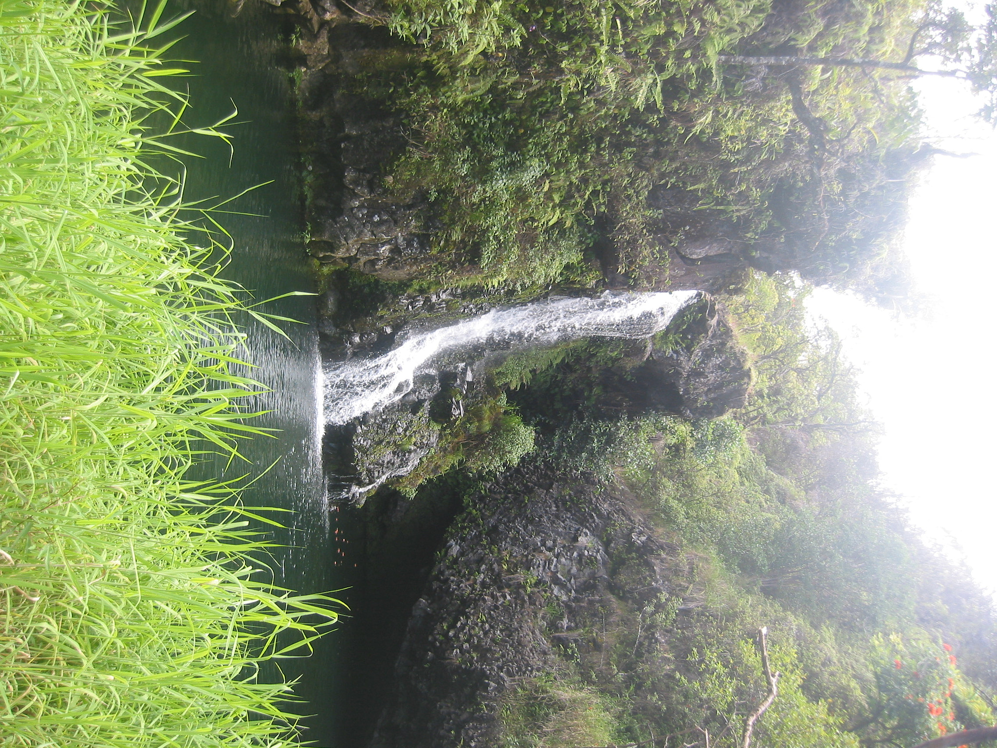 Canon POWERSHOT S40 sample photo. Maui - hawaii photography