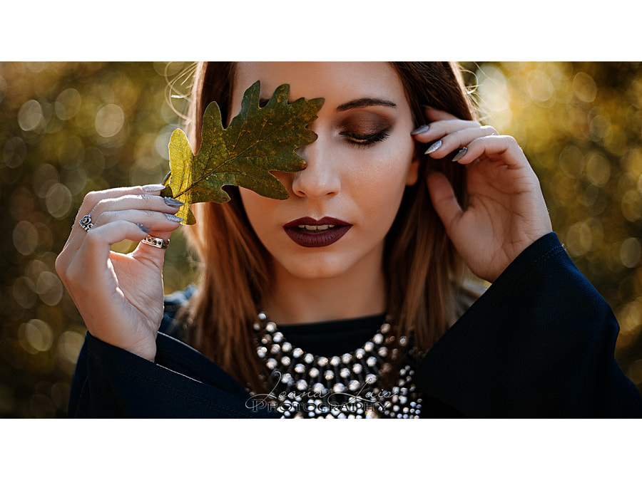 Canon EOS 5D + Canon EF 50mm f/1.8 sample photo. My leaf photography