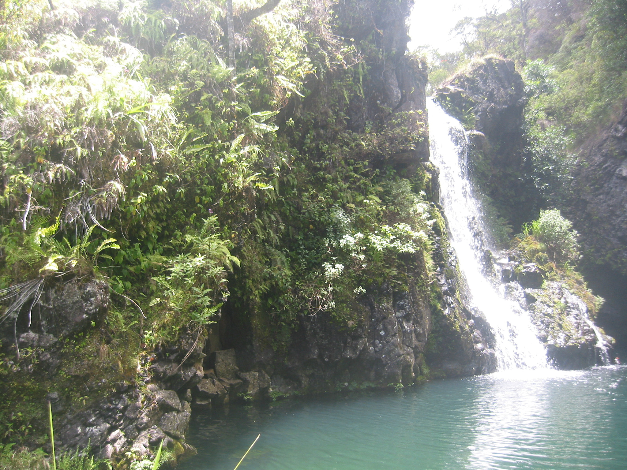 Canon POWERSHOT S40 sample photo. Maui - hawaii photography
