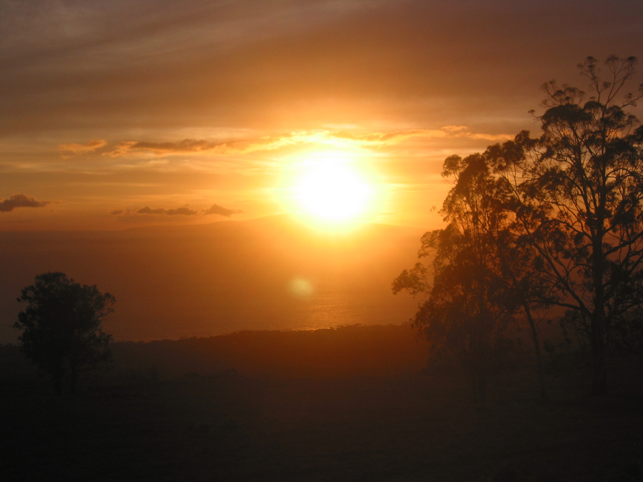 Canon POWERSHOT S40 sample photo. Maui - hawaii photography