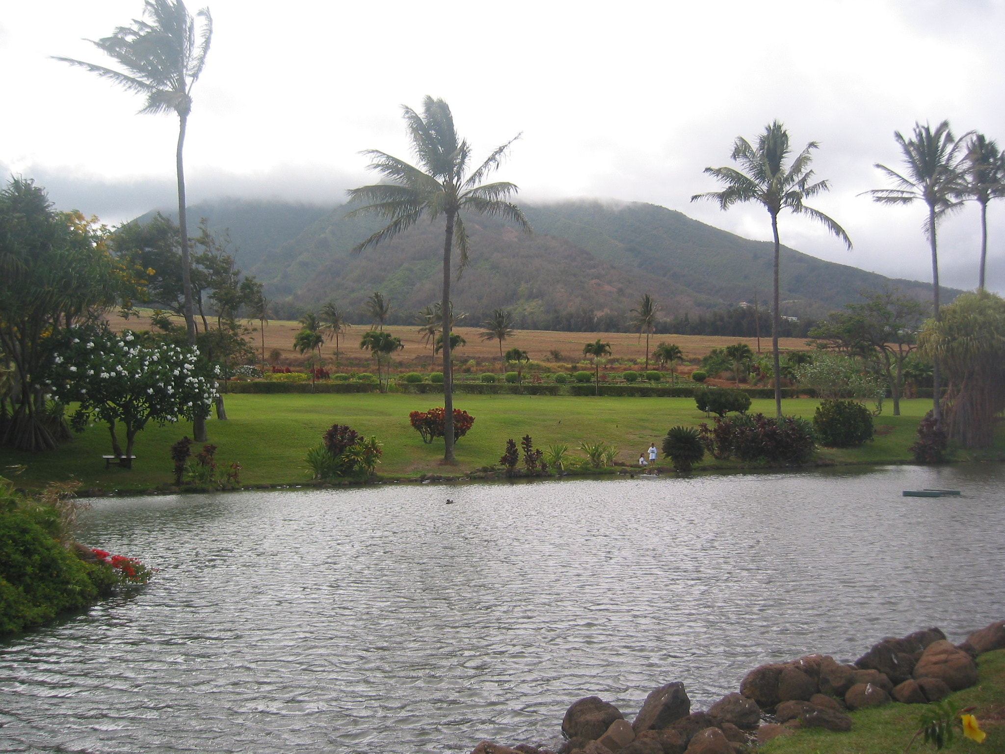 Canon POWERSHOT S40 sample photo. Maui - hawaii photography