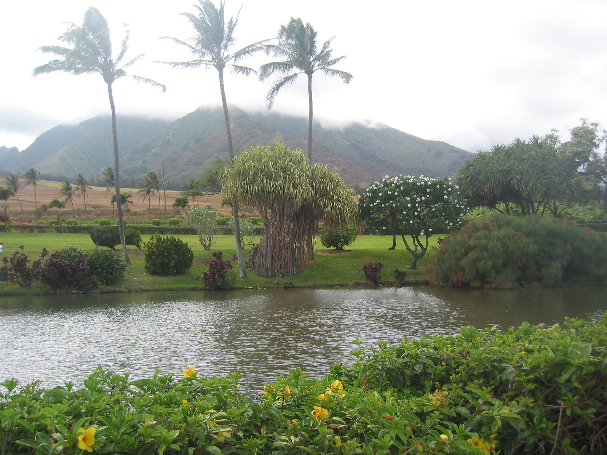 Canon POWERSHOT S40 sample photo. Maui - hawaii photography
