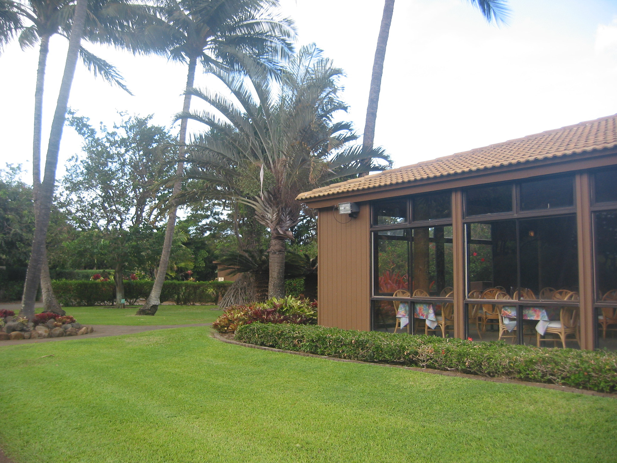 Canon POWERSHOT S40 sample photo. Maui - hawaii photography