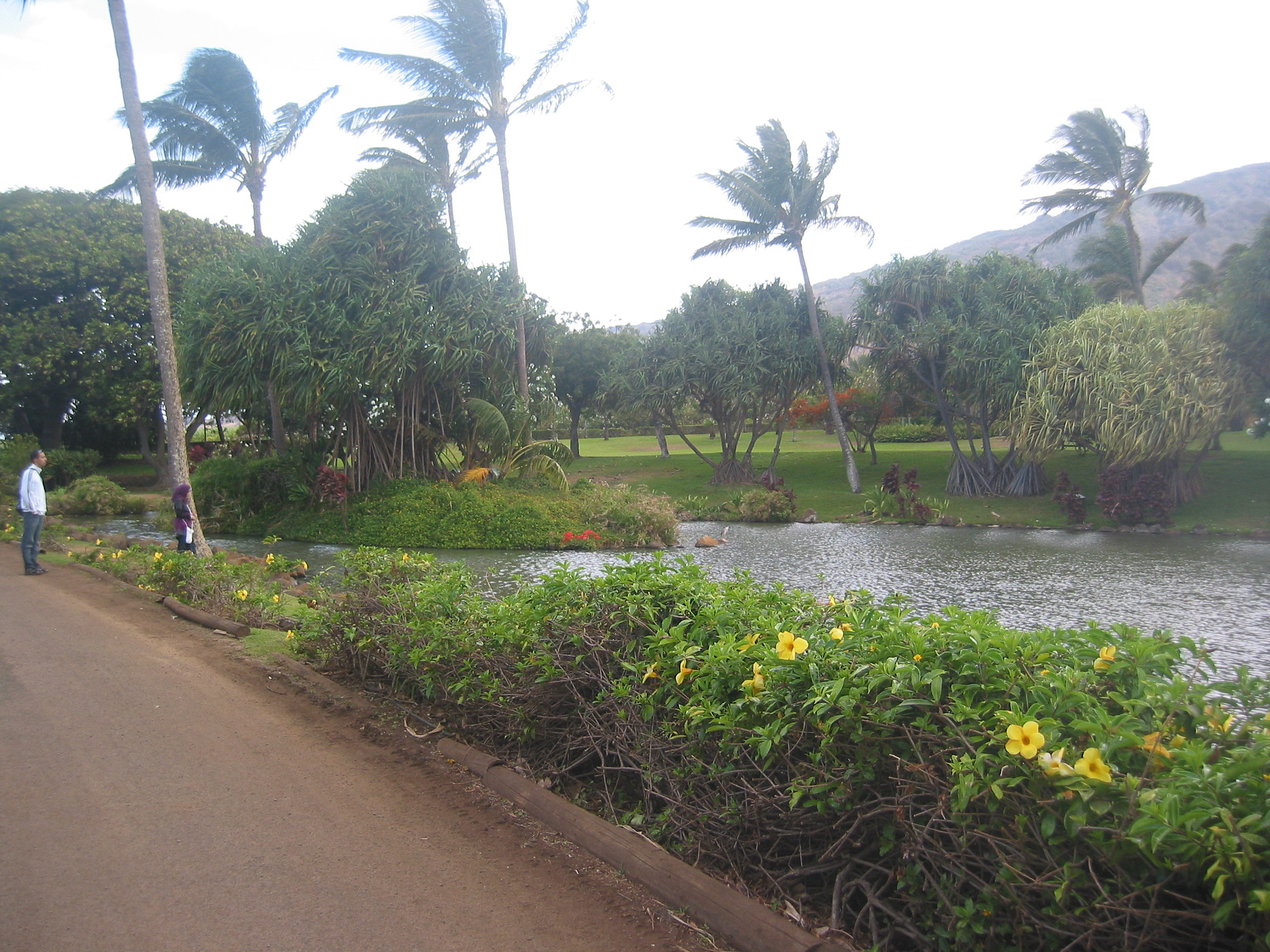 Canon POWERSHOT S40 sample photo. Maui - hawaii photography