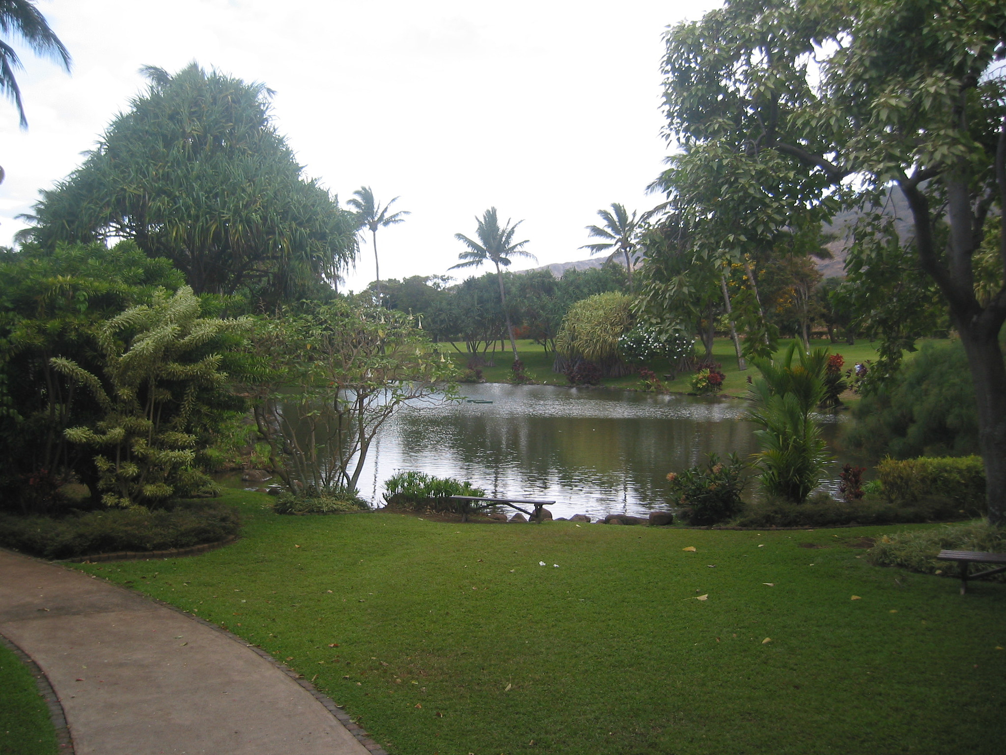 Canon POWERSHOT S40 sample photo. Maui - hawaii photography