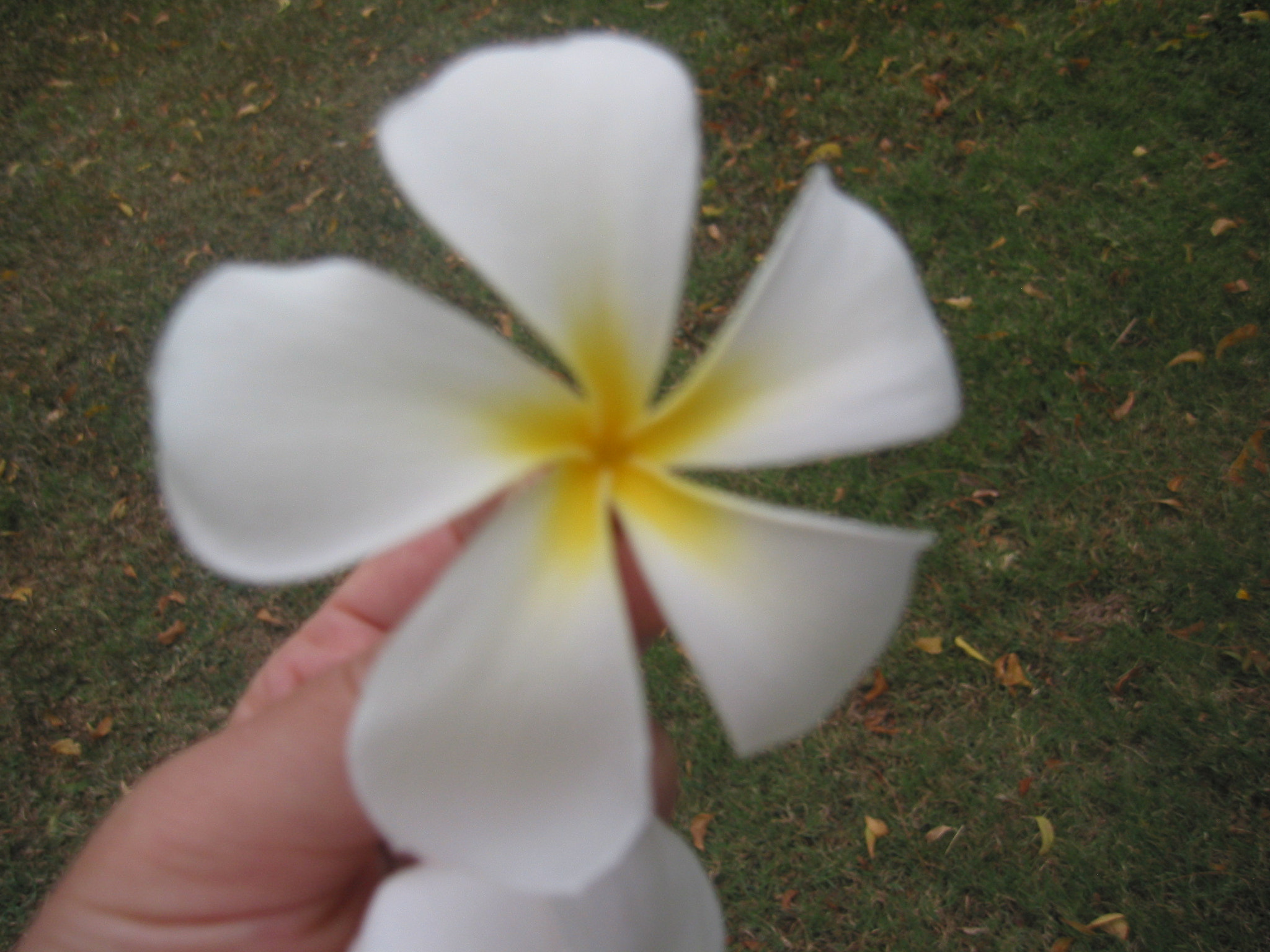 Canon POWERSHOT S40 sample photo. Maui - hawaii photography