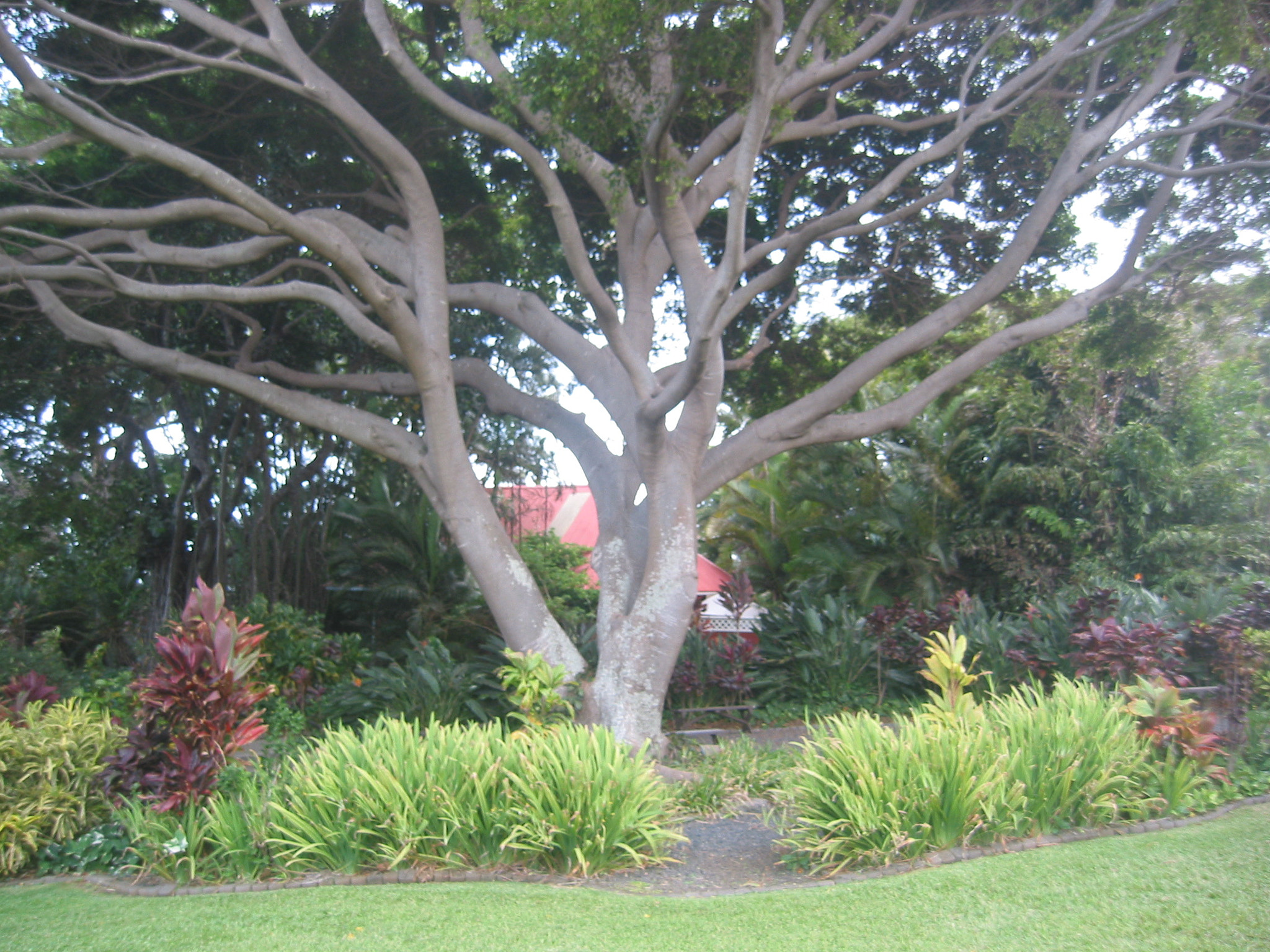 Canon POWERSHOT S40 sample photo. Maui - hawaii photography