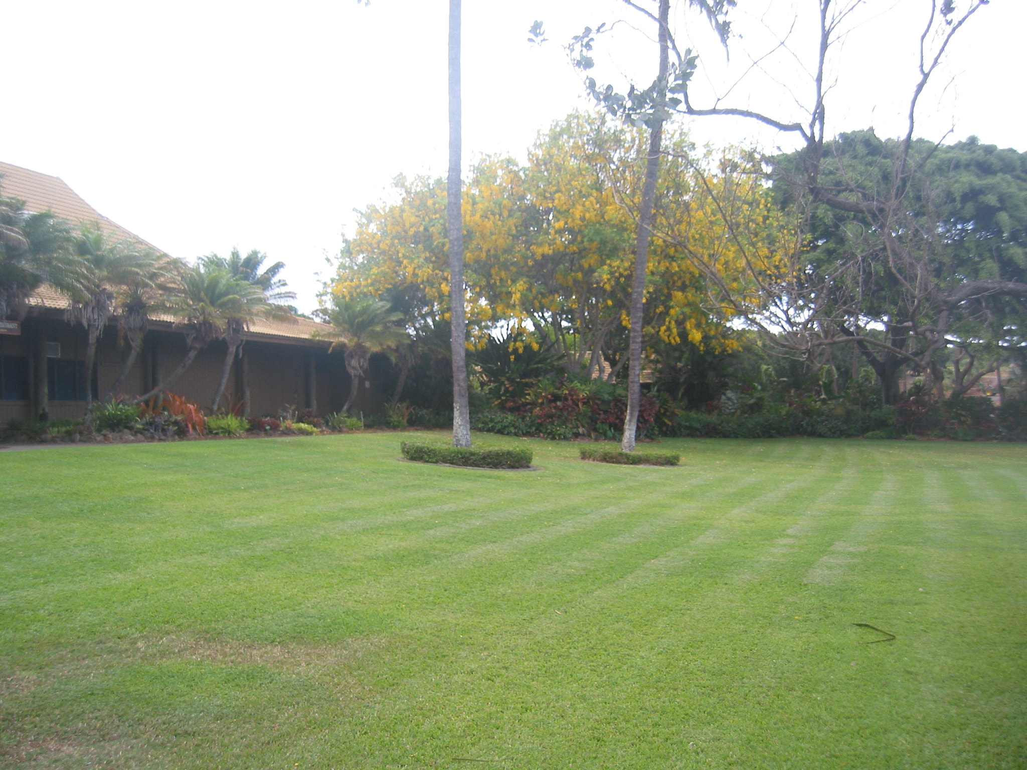 Canon POWERSHOT S40 sample photo. Maui - hawaii photography