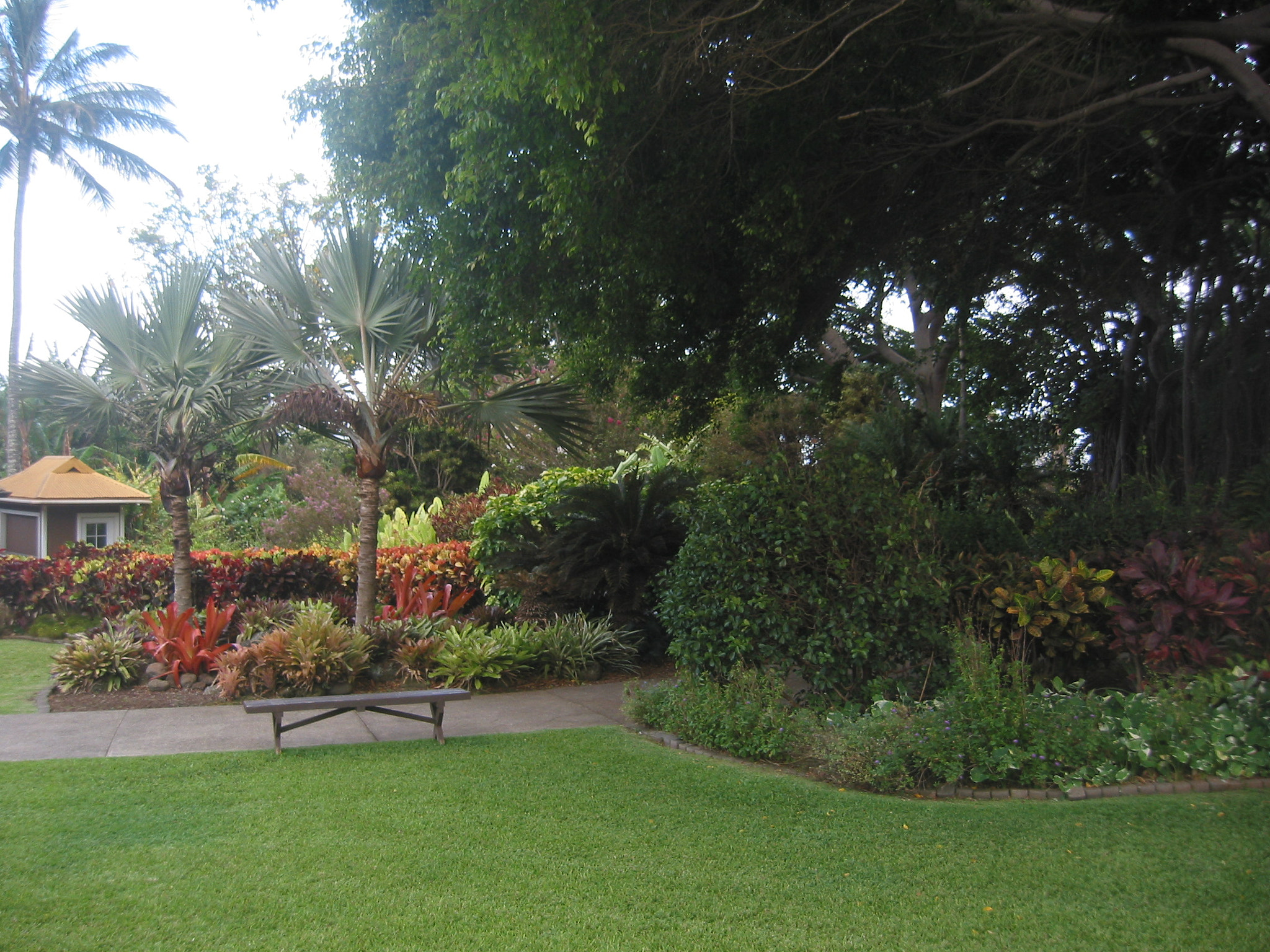 Canon POWERSHOT S40 sample photo. Maui - hawaii photography