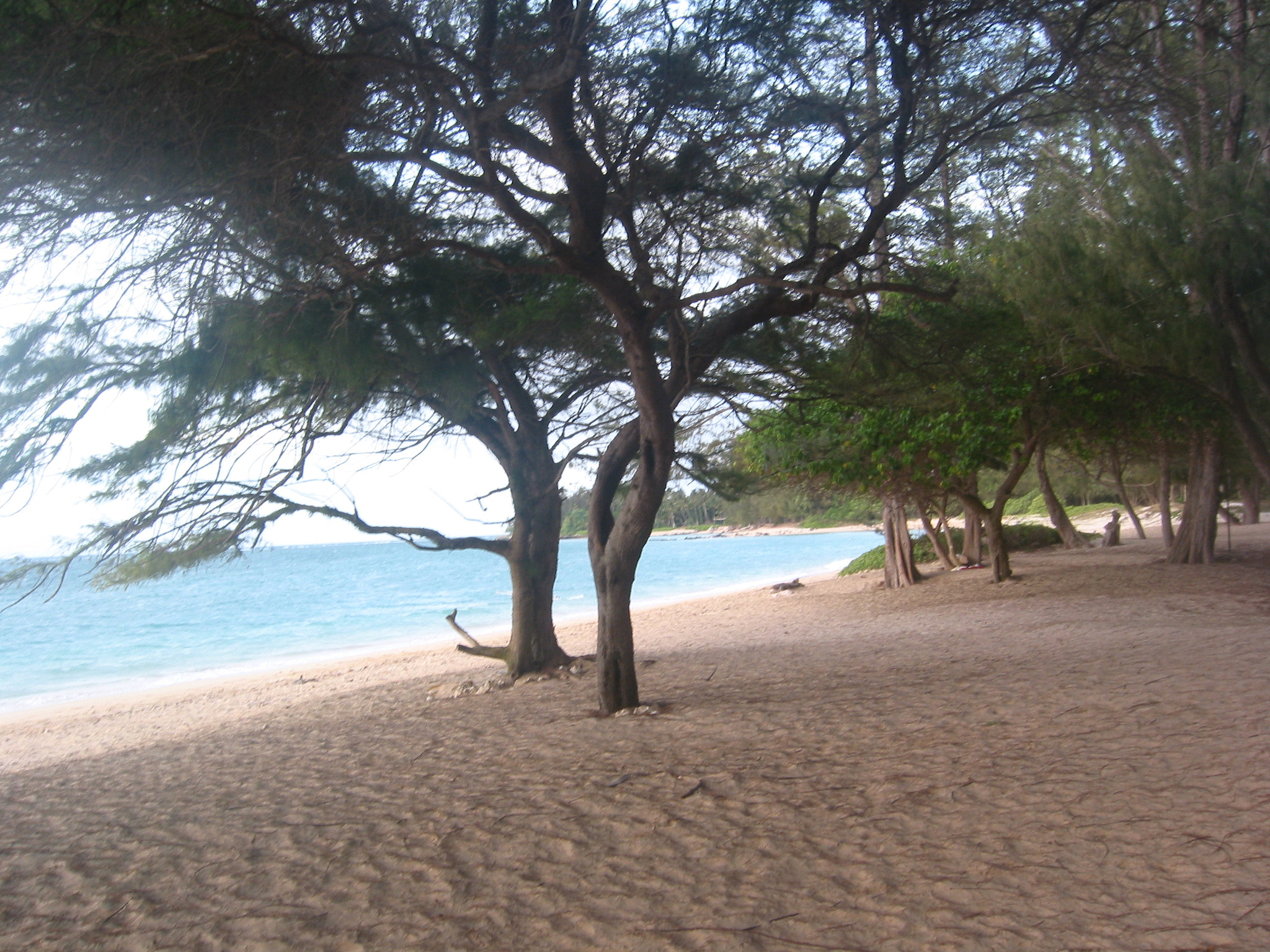 Canon POWERSHOT S40 sample photo. Maui - hawaii photography