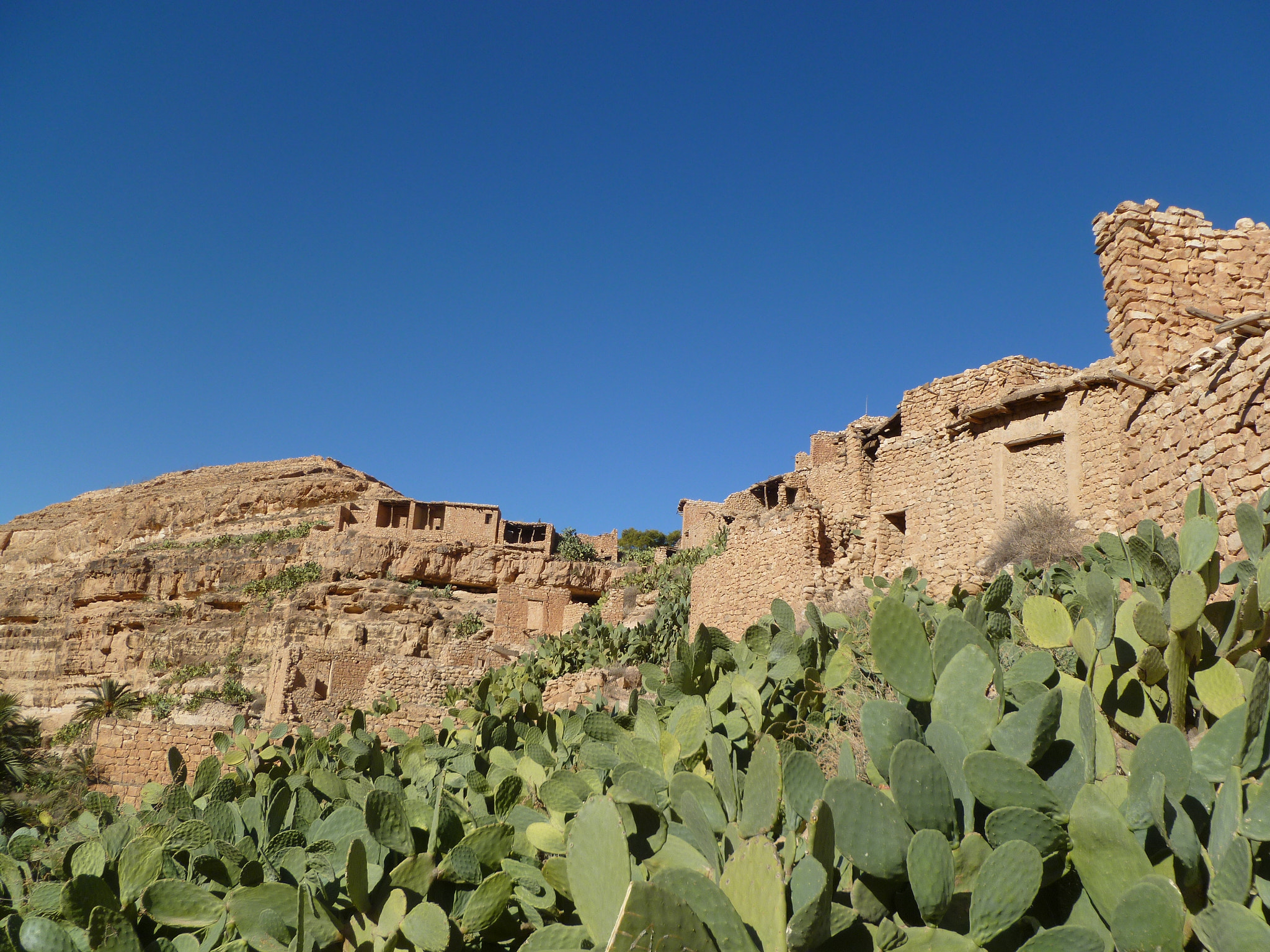 Panasonic DMC-FH20 sample photo. El-ghoufi - algeria photography