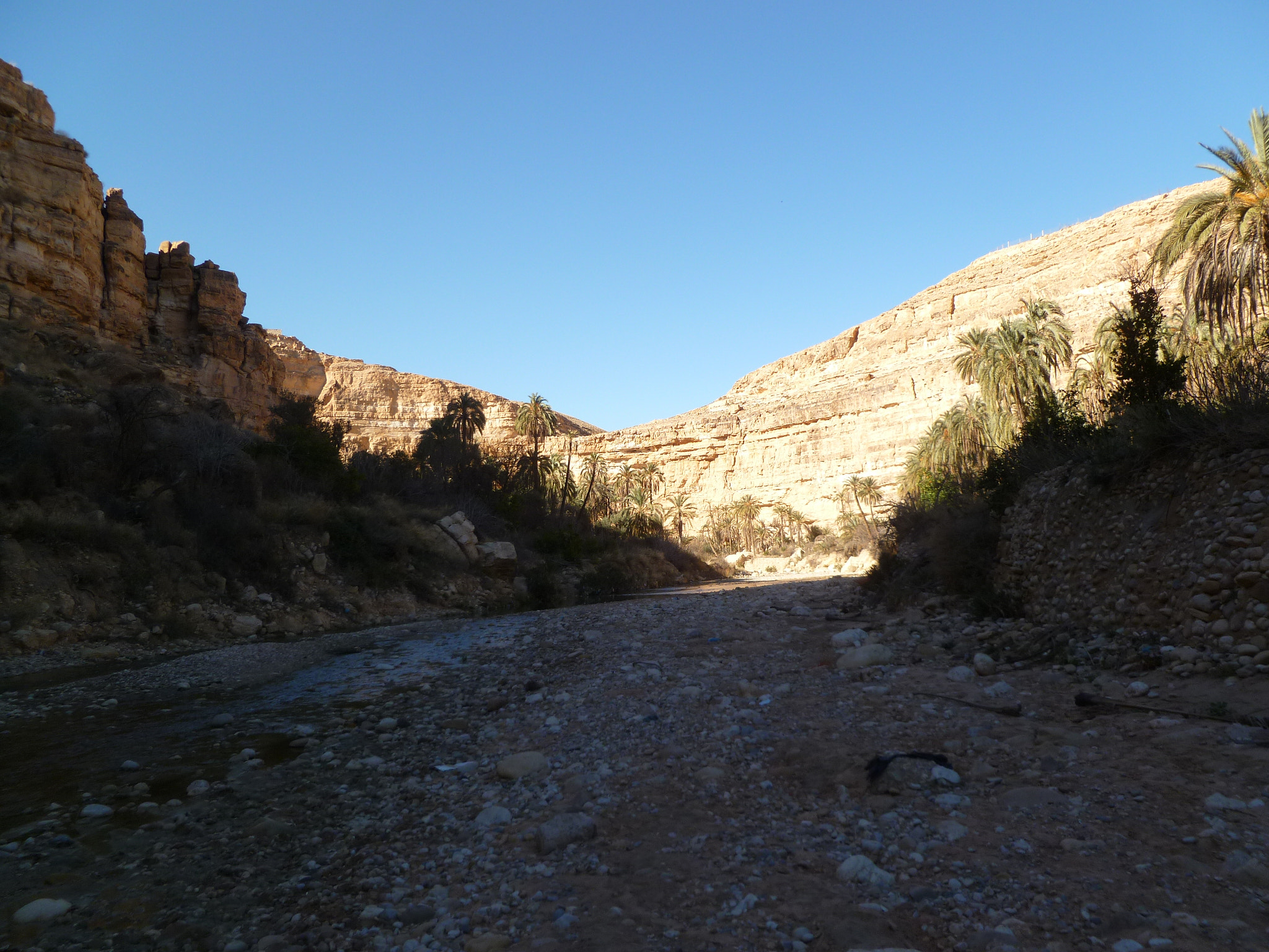 Panasonic DMC-FH20 sample photo. El-ghoufi - algeria photography