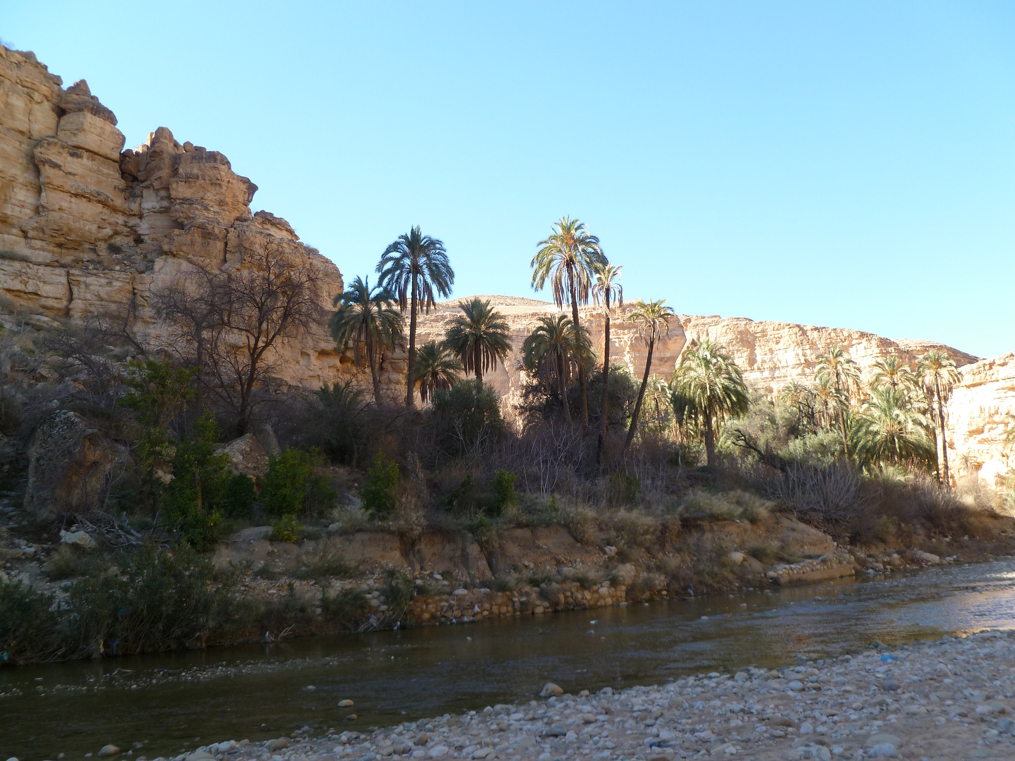 Panasonic DMC-FH20 sample photo. El-ghoufi - algeria photography