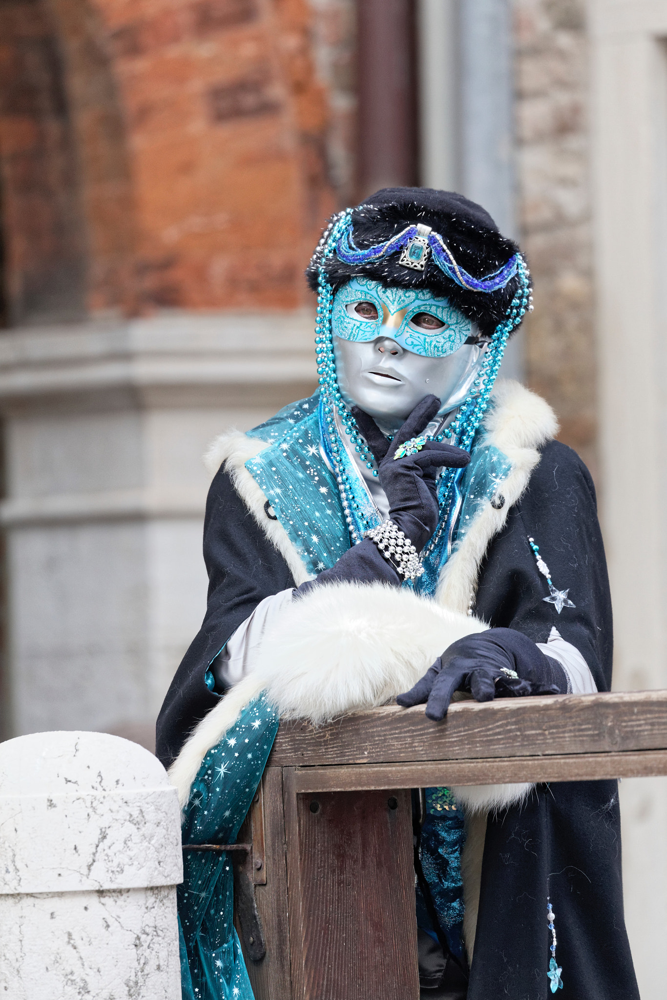 Canon EF 100-400mm F4.5-5.6L IS II USM sample photo. 2015_17 - welcome to the carnival photography
