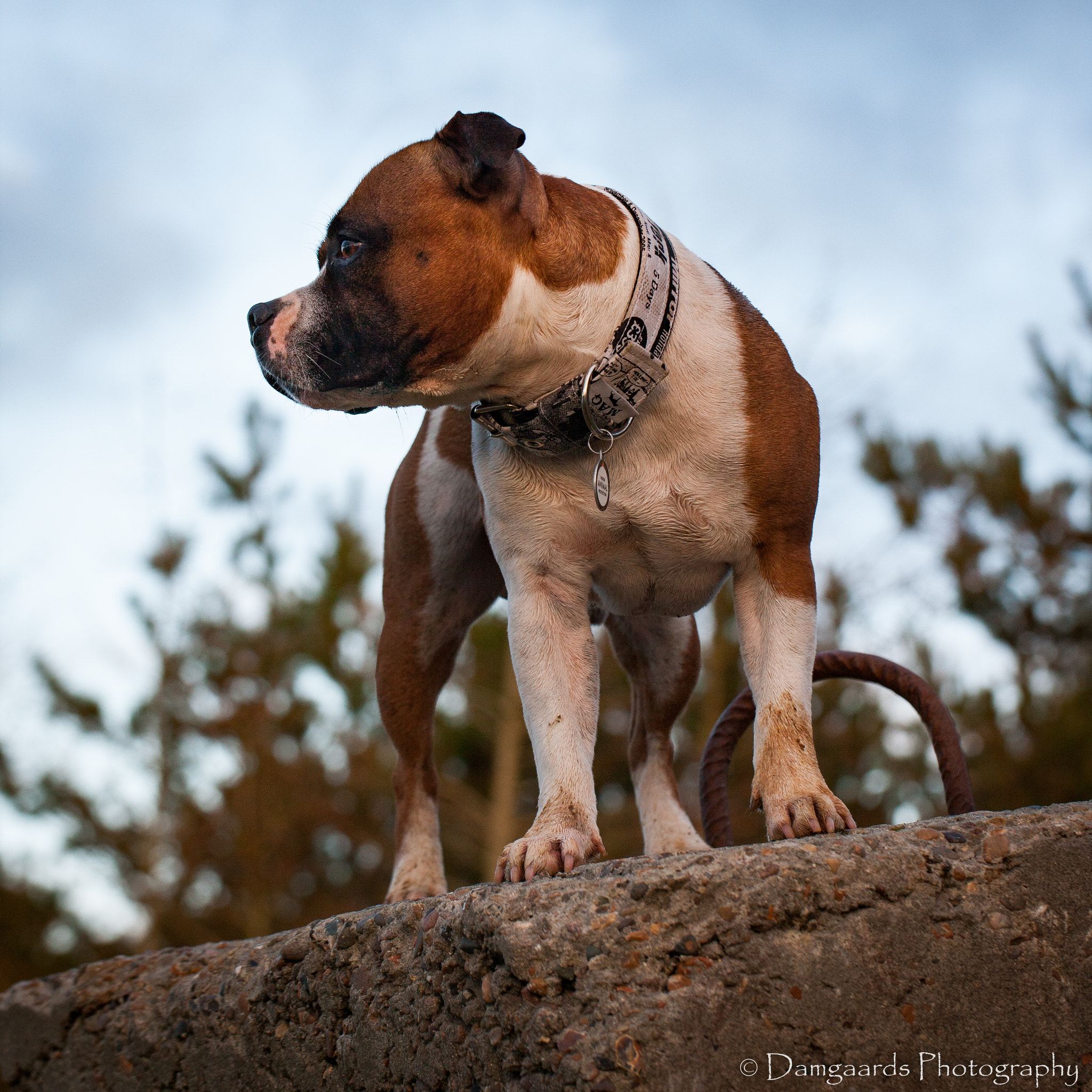Canon EOS-1Ds Mark III sample photo. 5l0r8496.jpg photography