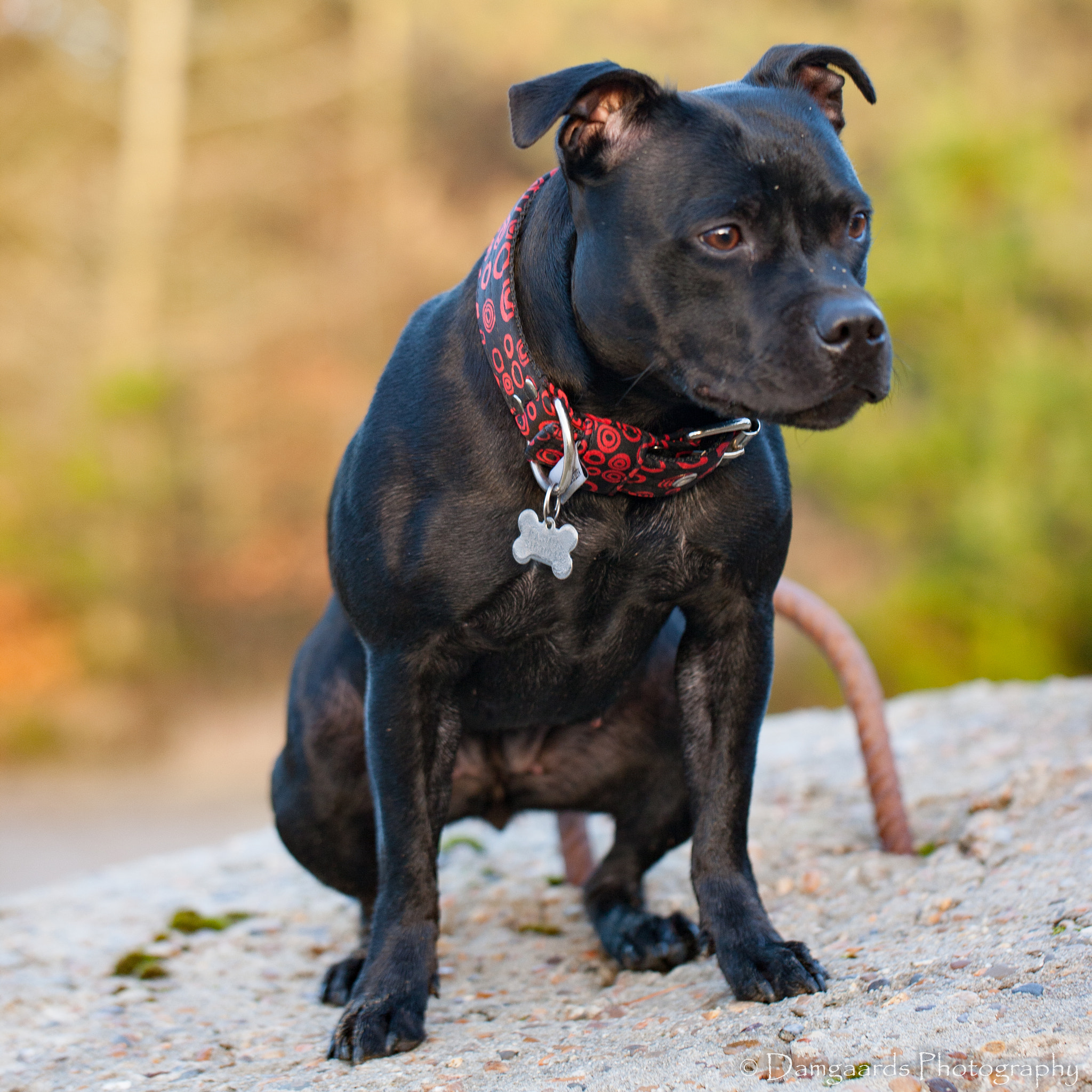 Canon EOS-1Ds Mark III sample photo. 5l0r8493.jpg photography