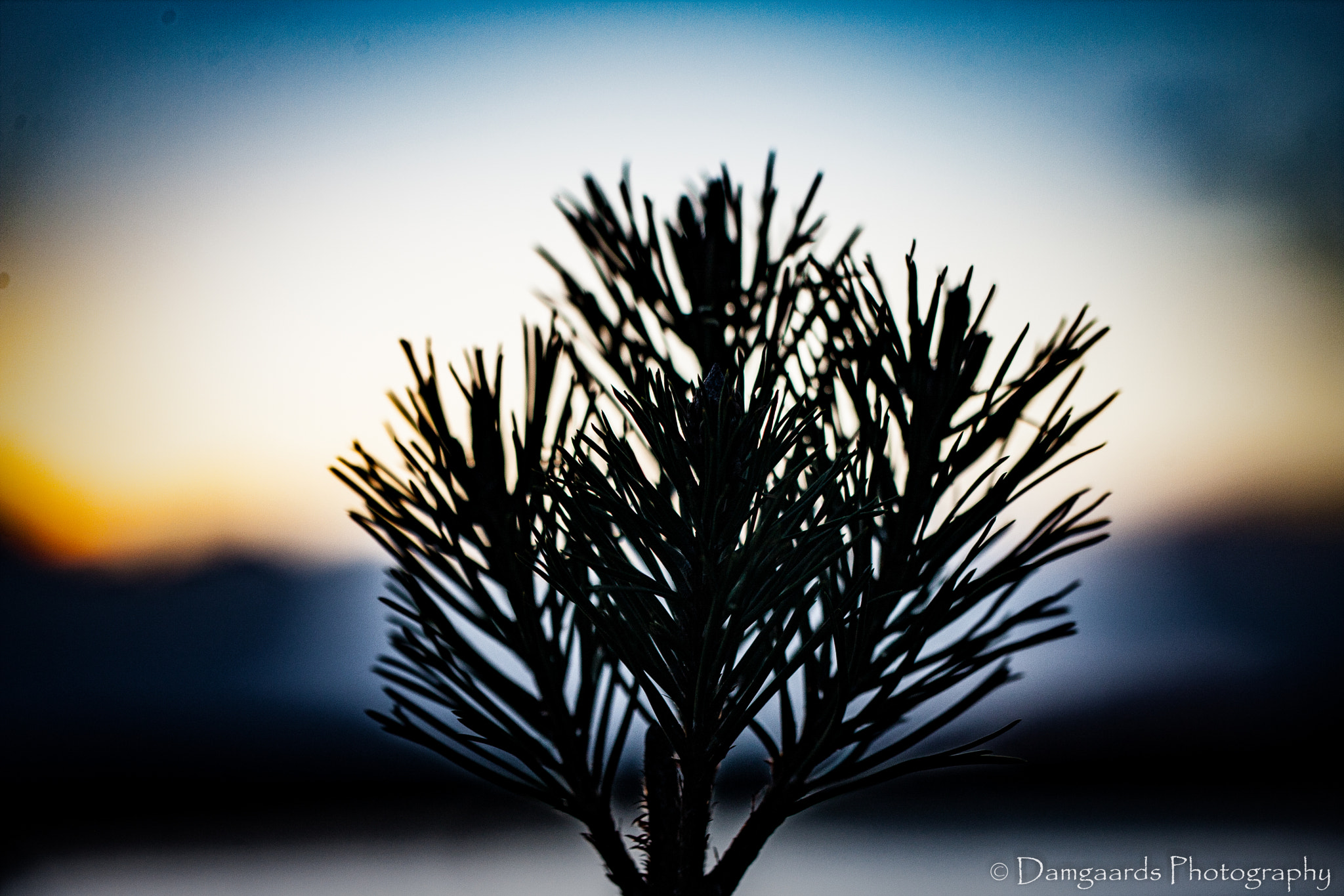 Canon EOS-1Ds Mark III sample photo. 5l0r8538.jpg photography