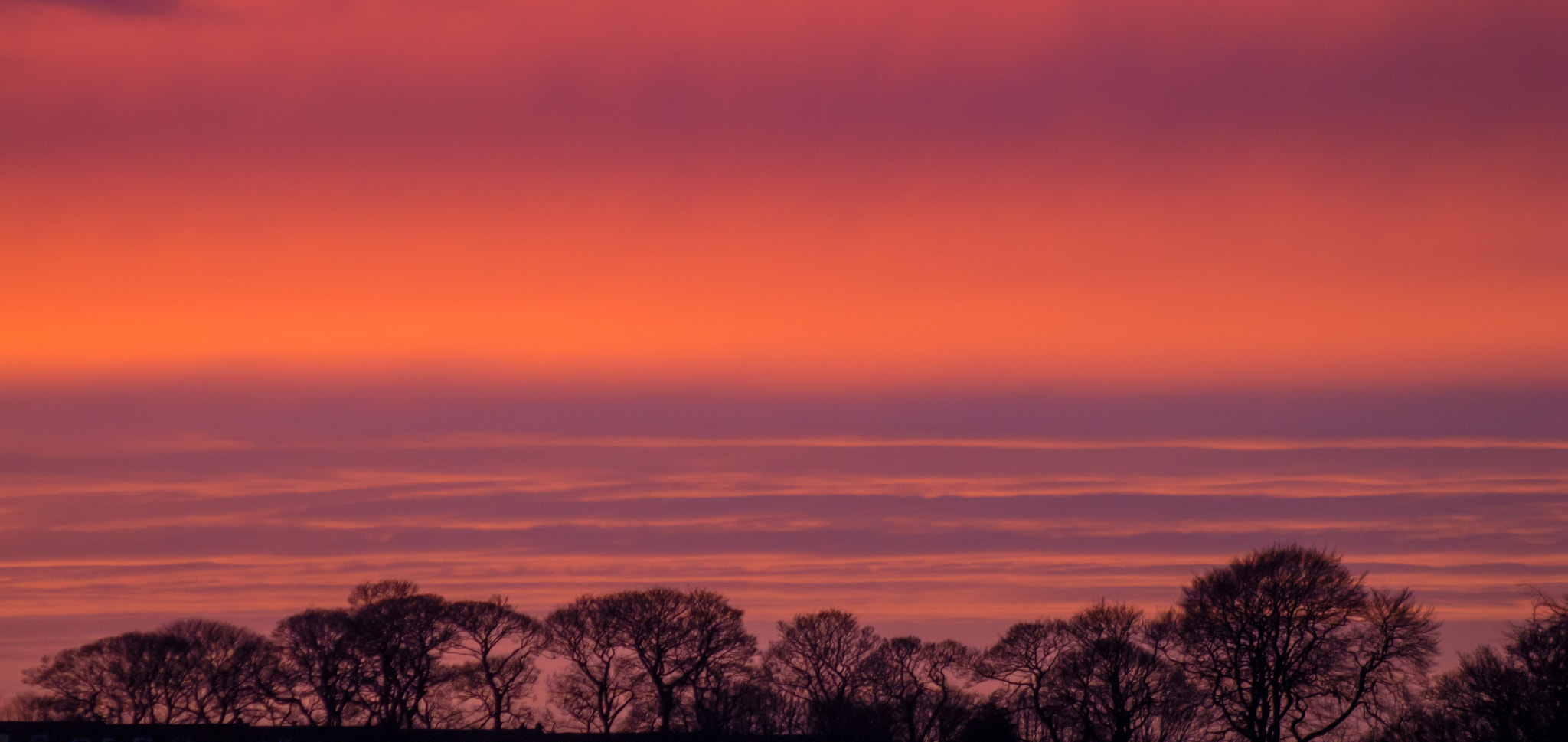 Canon EF 75-300mm f/4-5.6 USM sample photo. Colourset photography