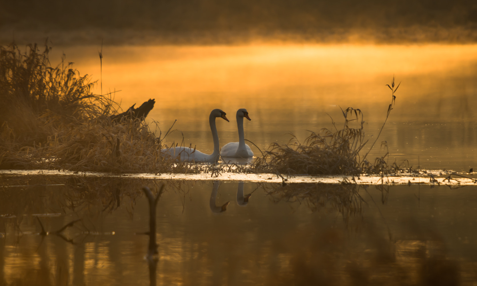 Pentax K-50 + Sigma sample photo. Great morning photography