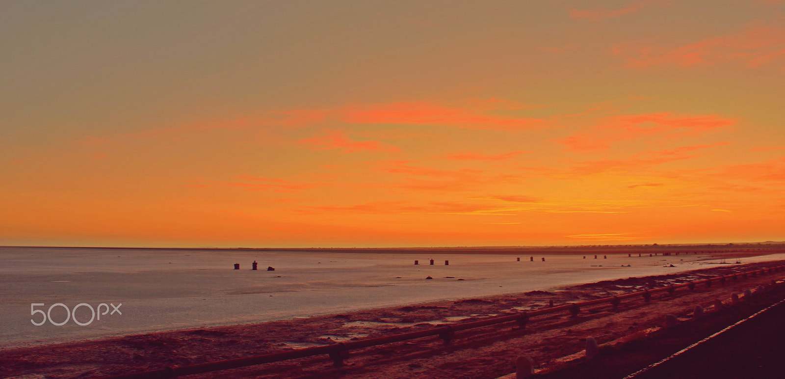 Canon EF-S 18-135mm F3.5-5.6 IS STM sample photo. A beautiful sunset, salt lake gujarat photography