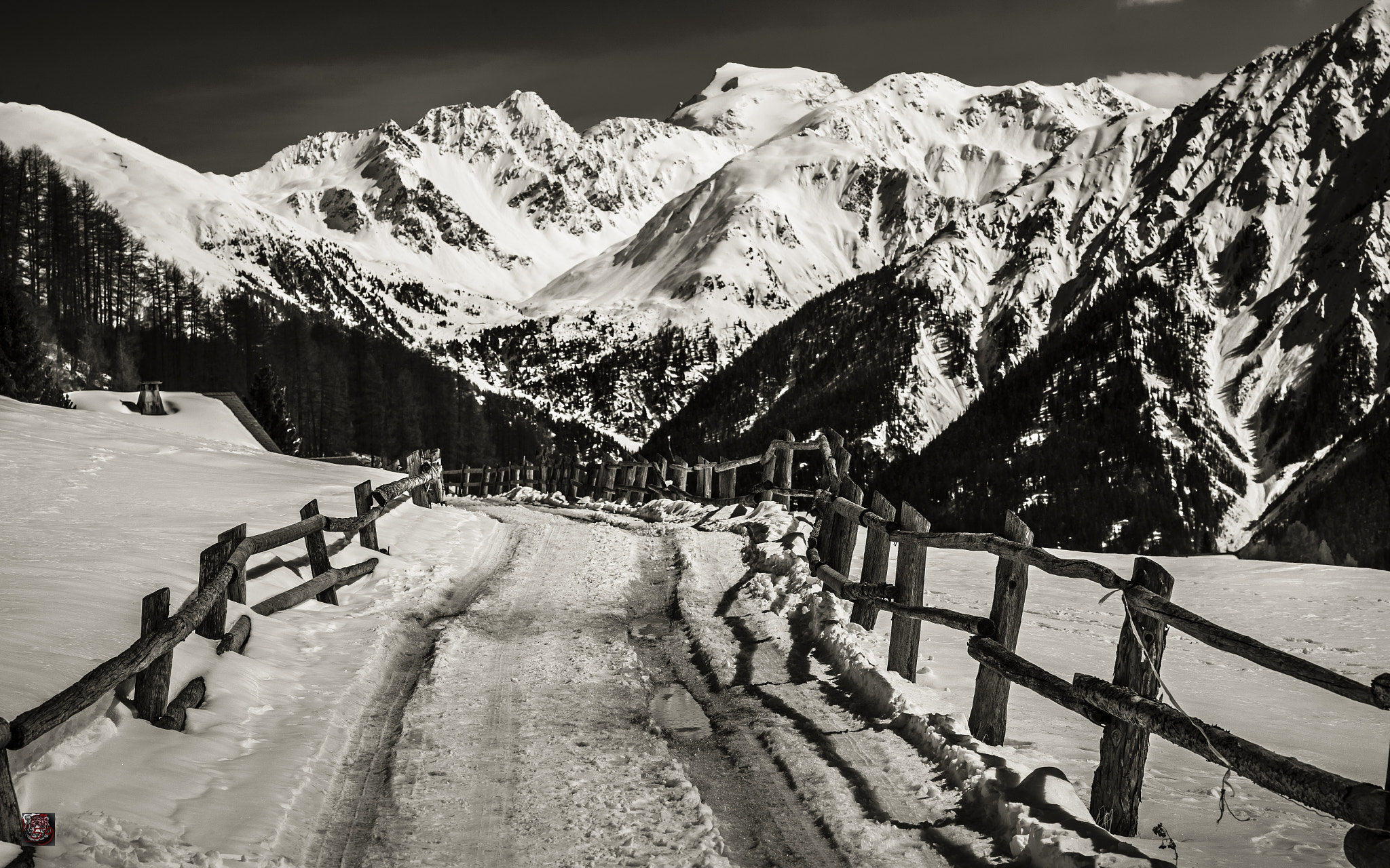 Leica APO-Summicron-M 90mm F2 ASPH sample photo. Val müstair: walking through the valley - mountain road in lü (2'000 m.ü.m.) photography