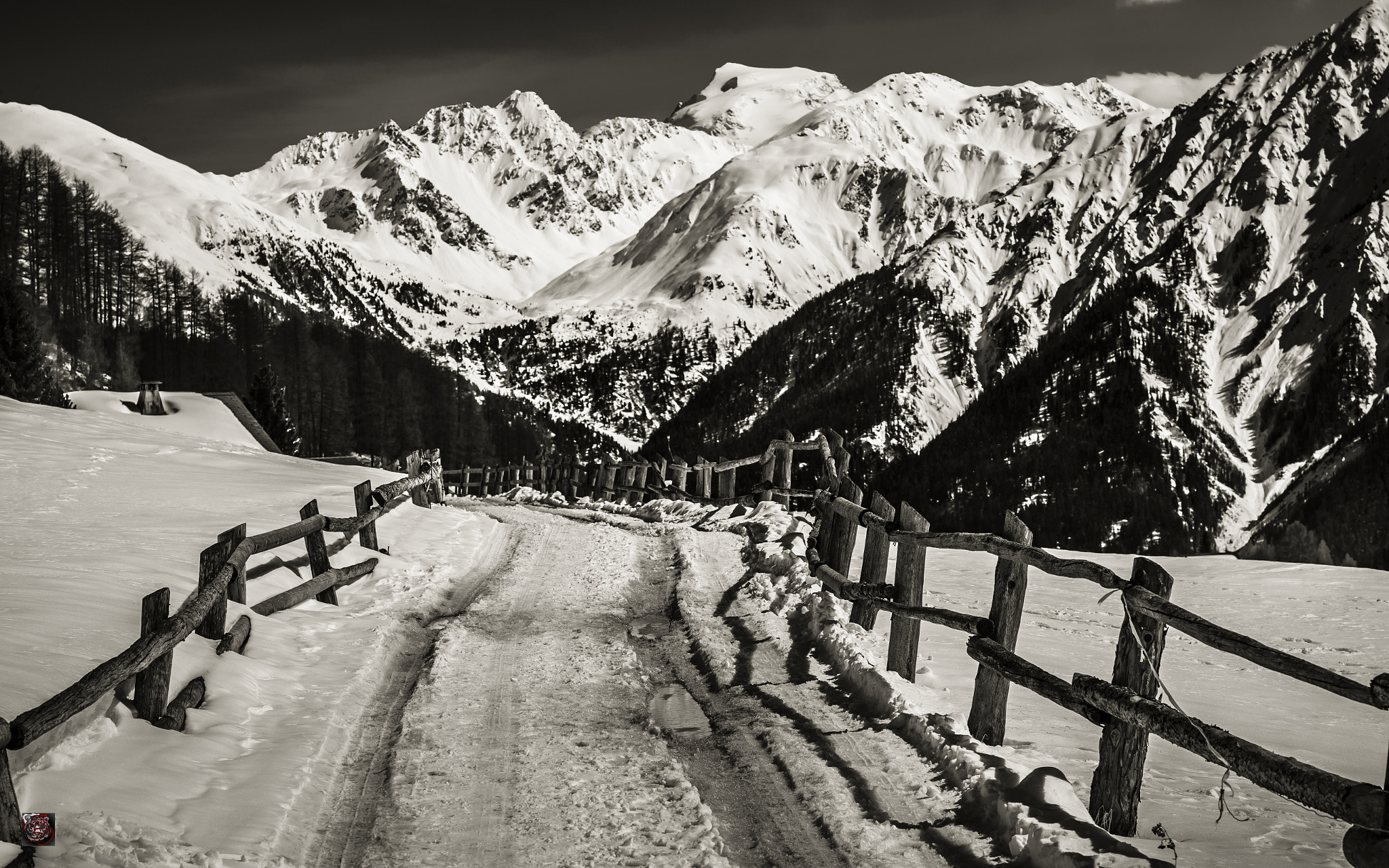 Leica M9 + Leica APO-Summicron-M 90mm F2 ASPH sample photo. Val müstair: walking through the valley - mountain road in lü (2'000 m.ü.m.) photography