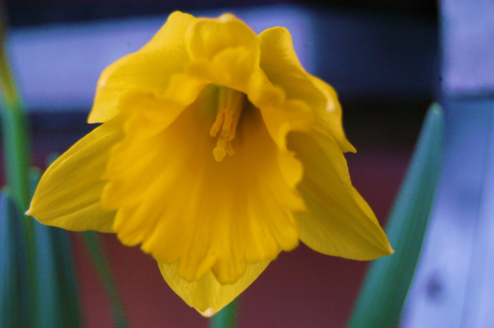 Nikon D100 sample photo. Outside photography