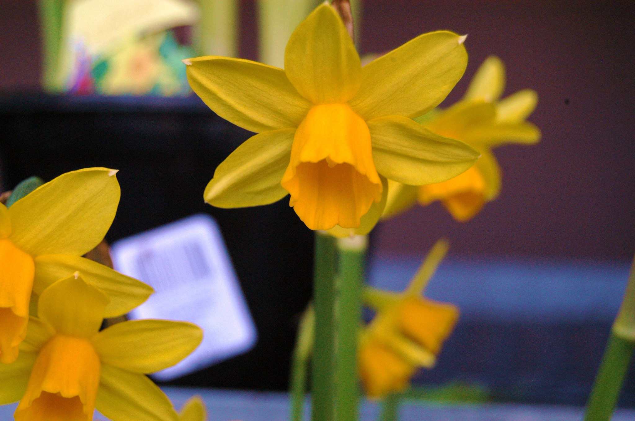 Nikon D100 sample photo. Outside photography