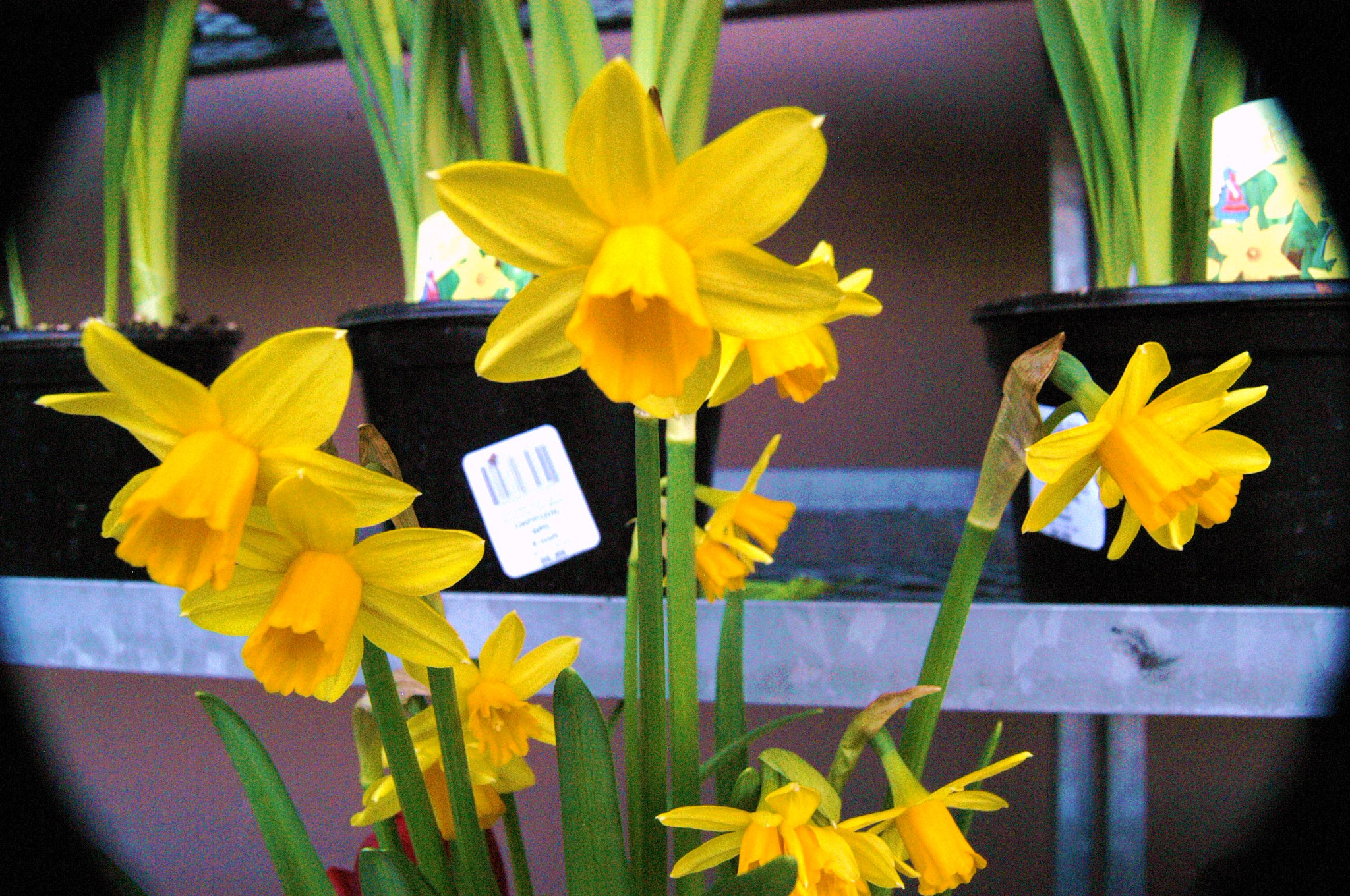 Nikon D100 sample photo. Outside photography