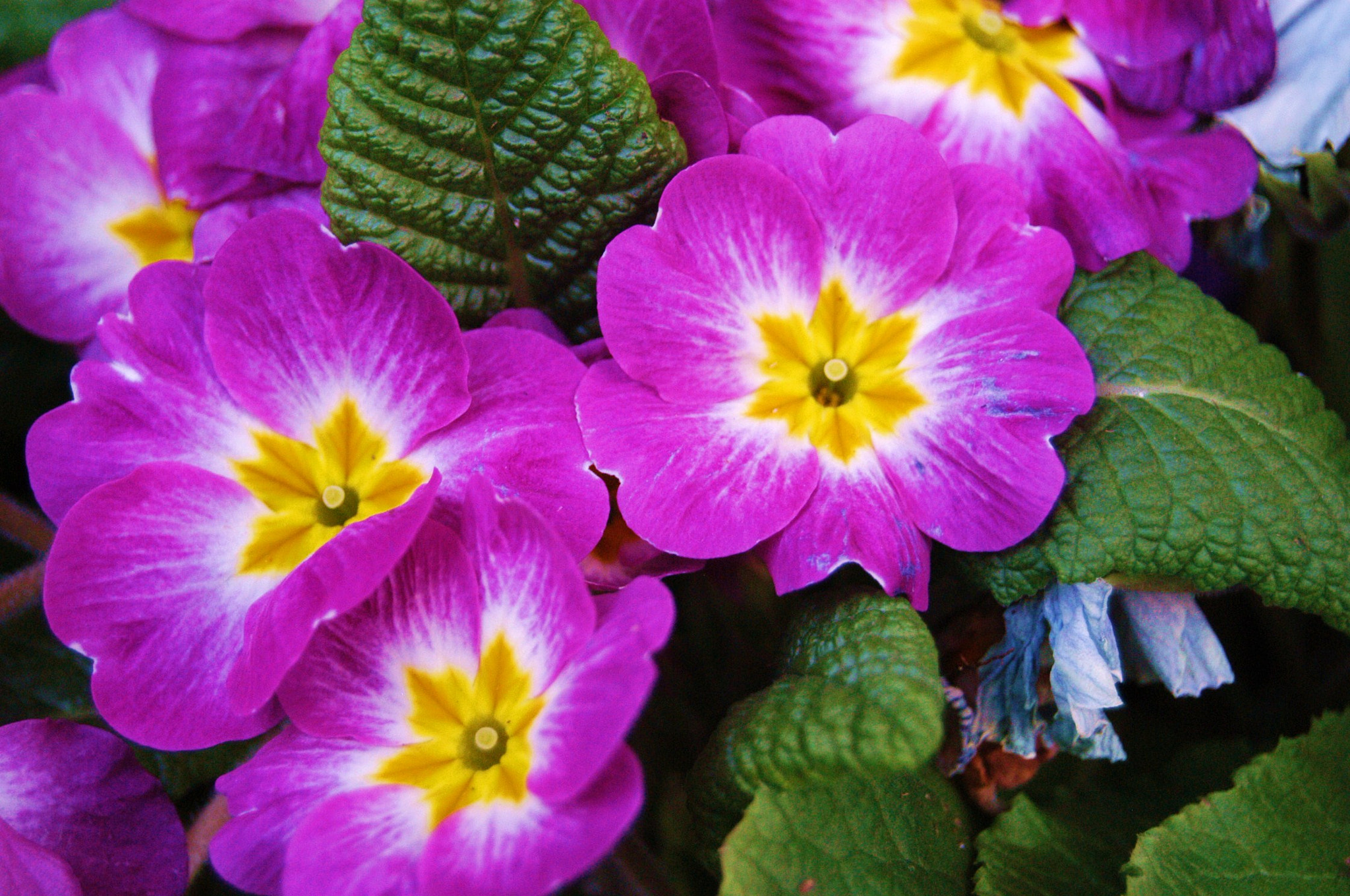 Nikon D100 sample photo. Outside photography