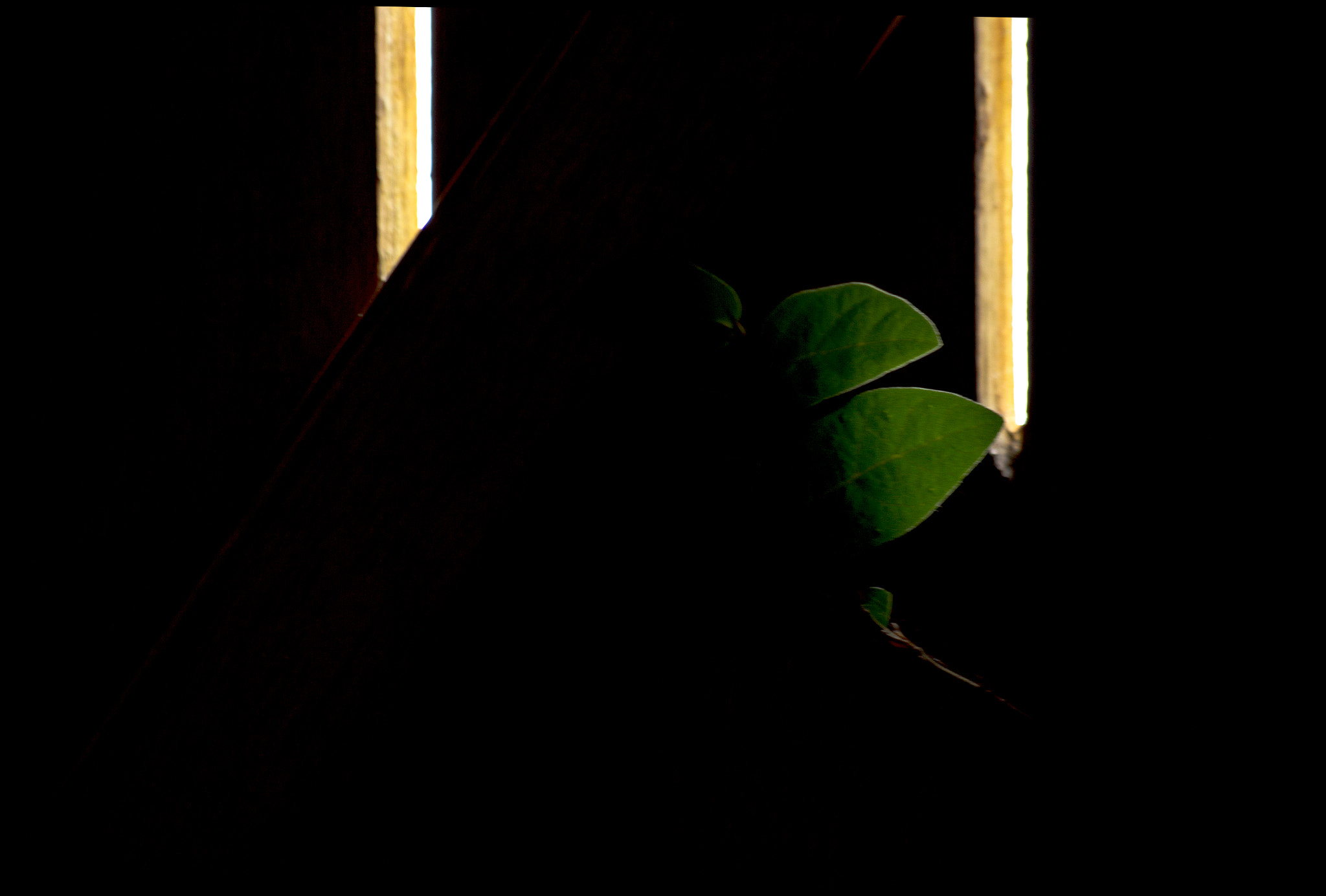 Canon EF 35-80mm f/4-5.6 sample photo. Ray of hope photography