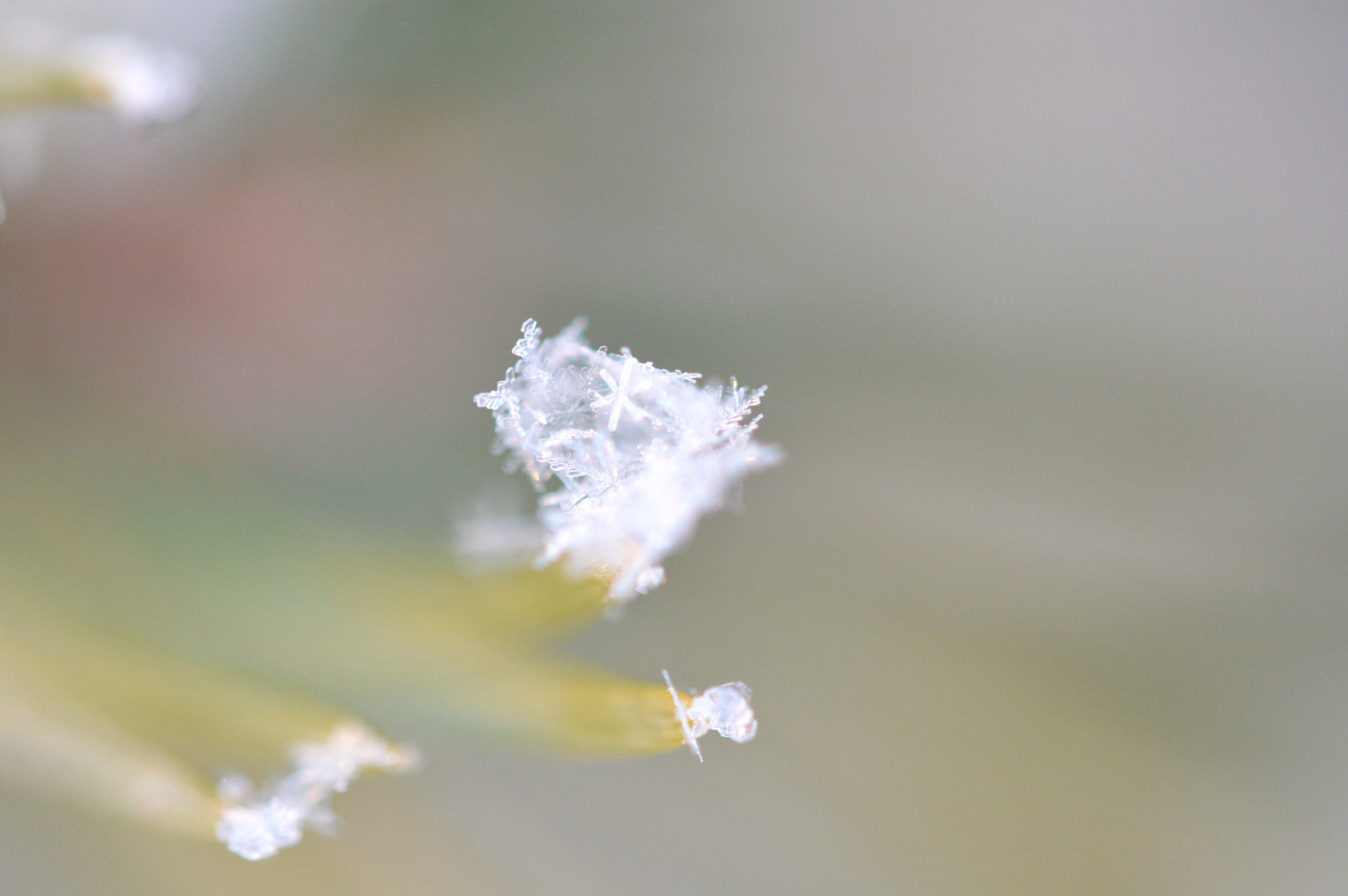 Nikon AF-S Micro-Nikkor 60mm F2.8G ED sample photo. Supermacro on a snowflake  photography