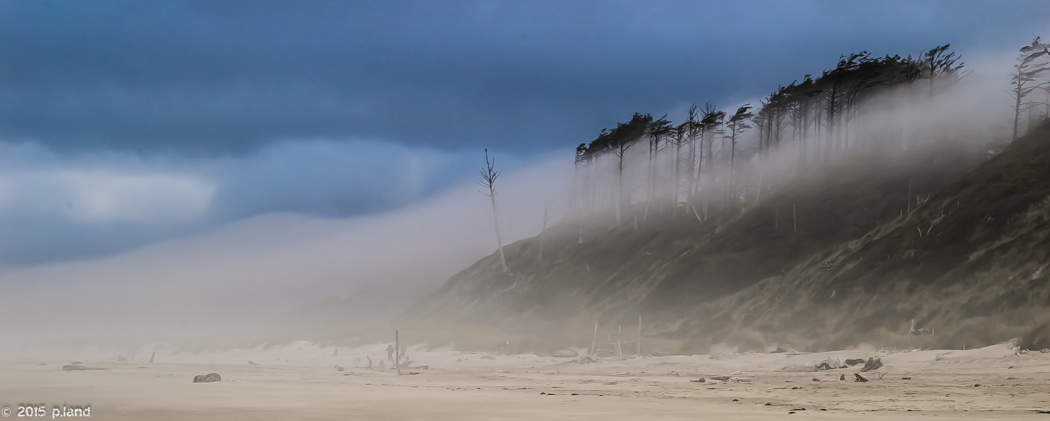 Pentax K100D + Sigma sample photo. Bayocean spit, oregon coast photography