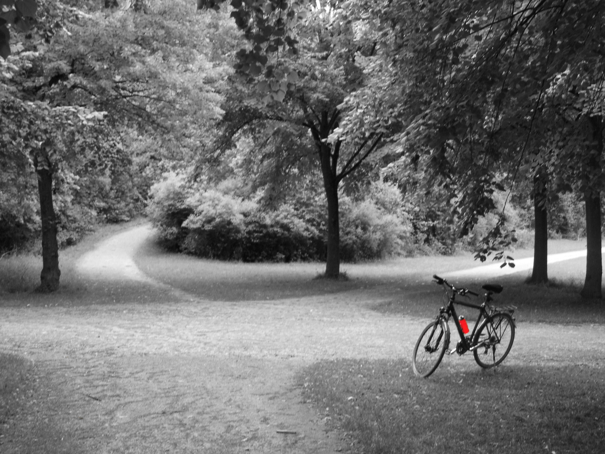 MEDION MD86929 sample photo. Crossroads photography
