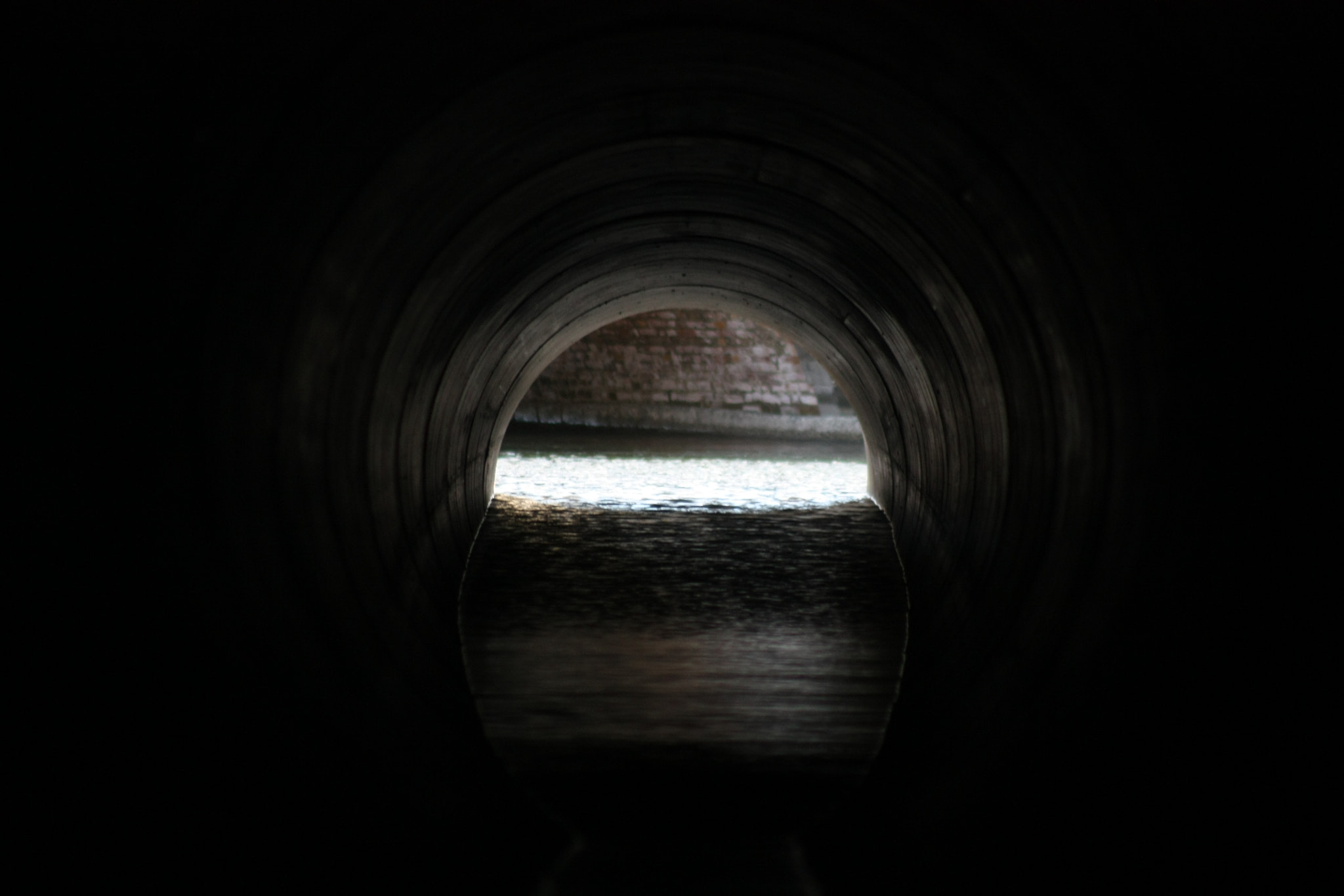 Canon EF 100-300mm f/5.6 sample photo. Follow me photography
