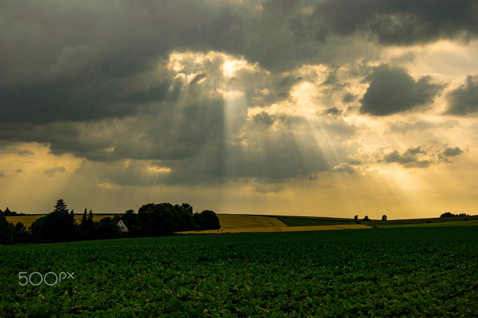 Samsung NX500 + NX 18-200mm F3.5-6.3 sample photo. Sky break through photography