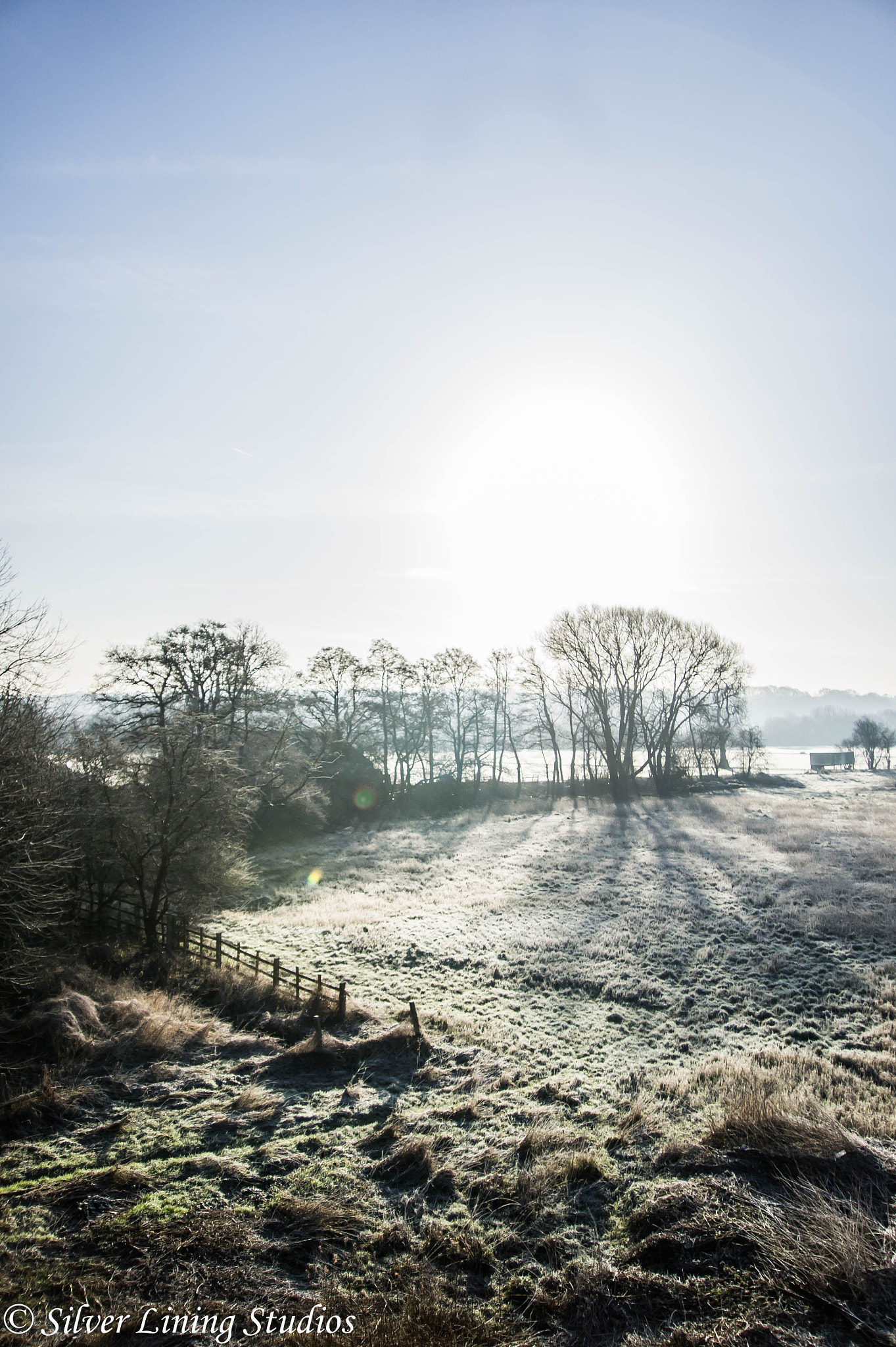 Sony Alpha NEX-3 sample photo. Frosty morning photography