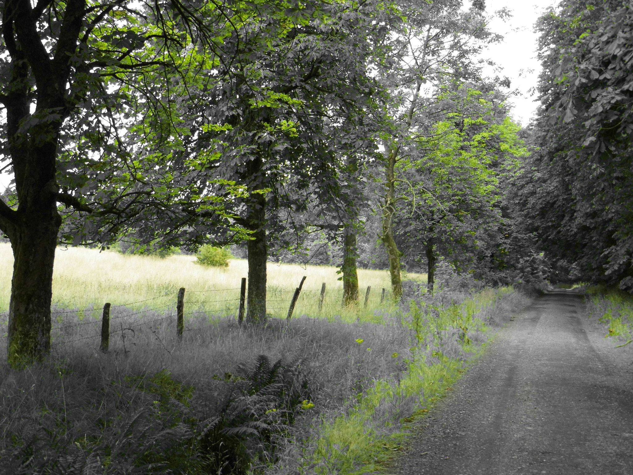 MEDION MD86929 sample photo. Ruhe photography