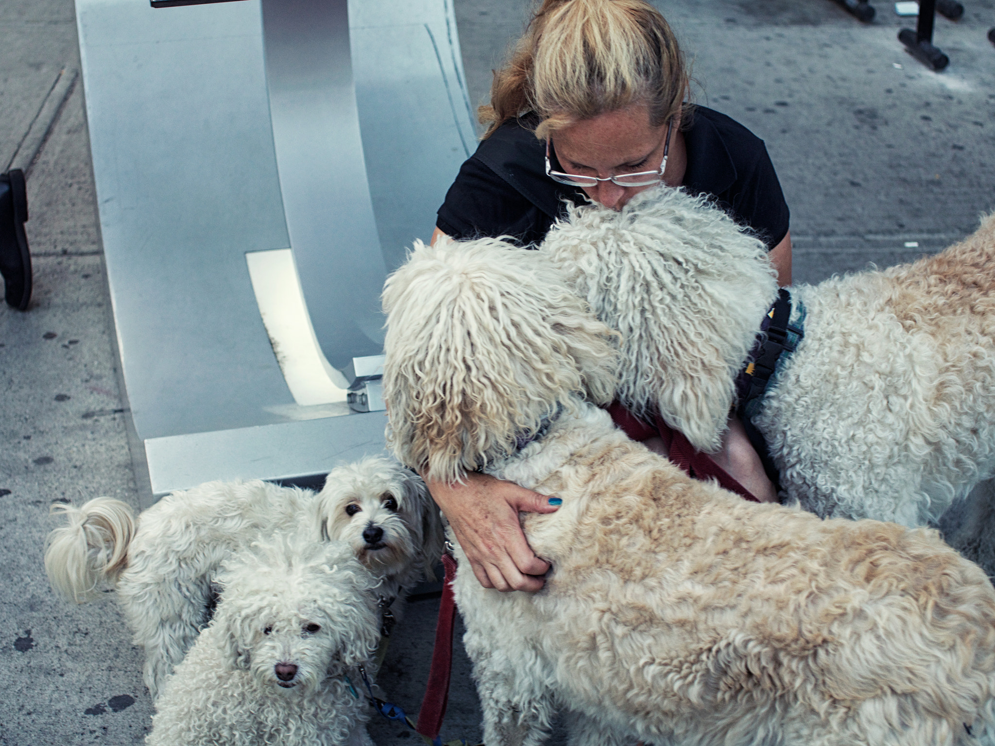 Sigma 30mm F2.8 DN Art sample photo. Cuddling dogs photography