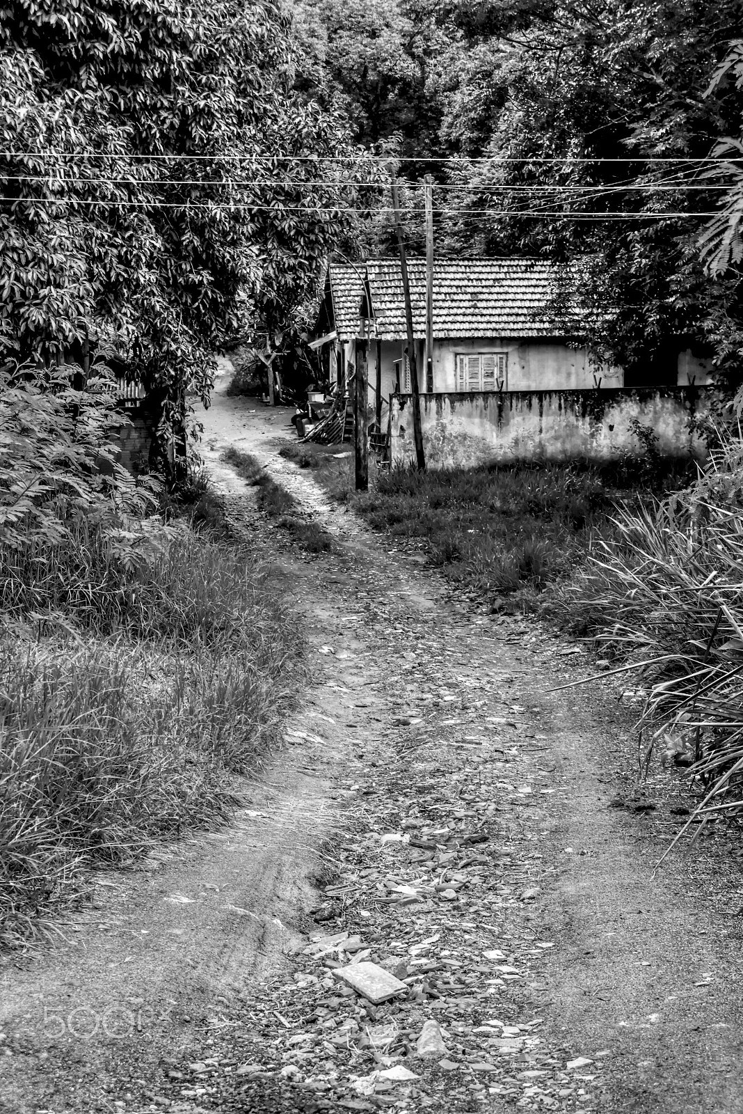 AF Zoom-Nikkor 35-70mm f/3.3-4.5 N sample photo. Path to the field photography