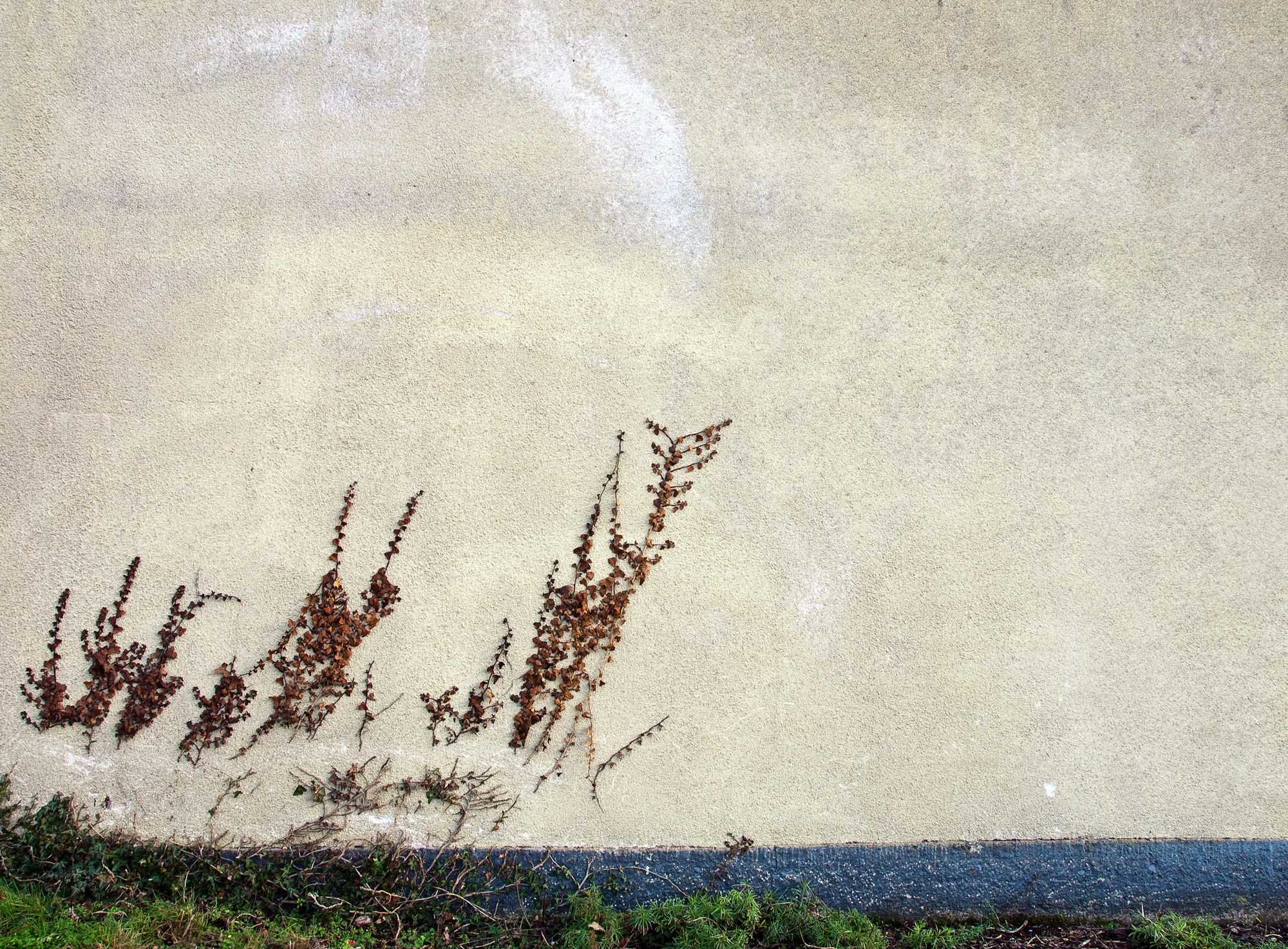 Olympus E-620 (EVOLT E-620) sample photo. Natural wall painting photography