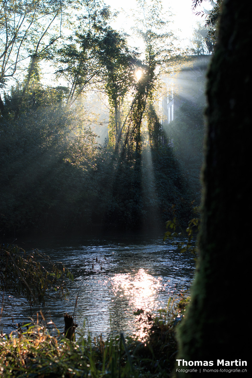 Canon EOS 70D + Canon EF 35mm F2 sample photo. A beautiful sunny morning photography