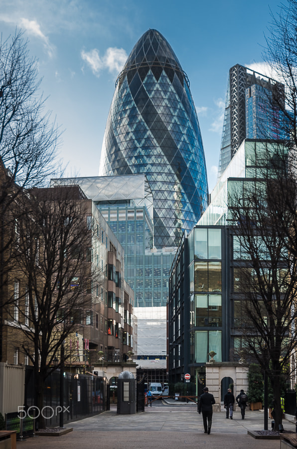 Pentax K-5 IIs sample photo. Gherkin photography