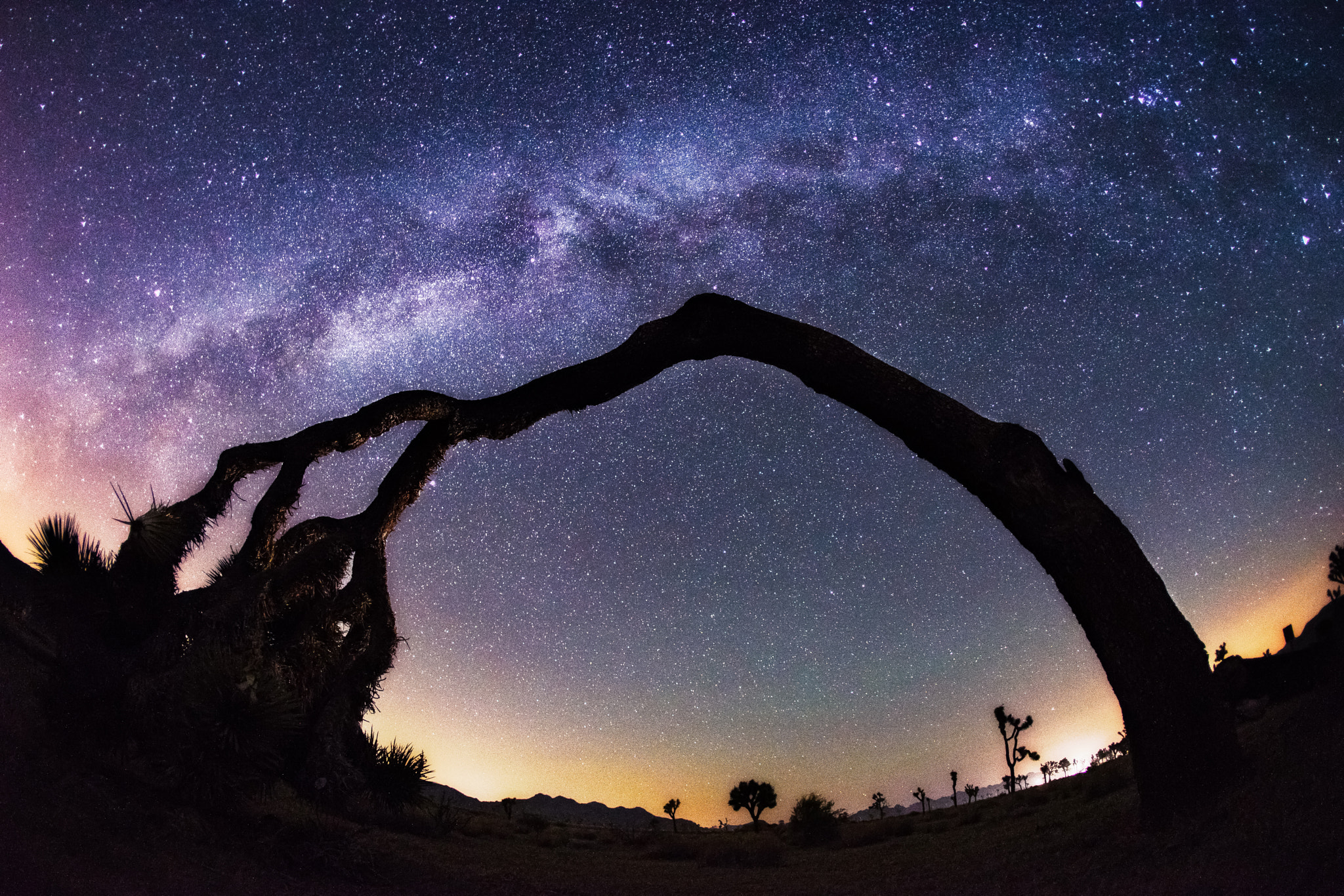 Sony a7 + Canon EF 15mm F2.8 Fisheye sample photo. Repetition on a grand scale photography