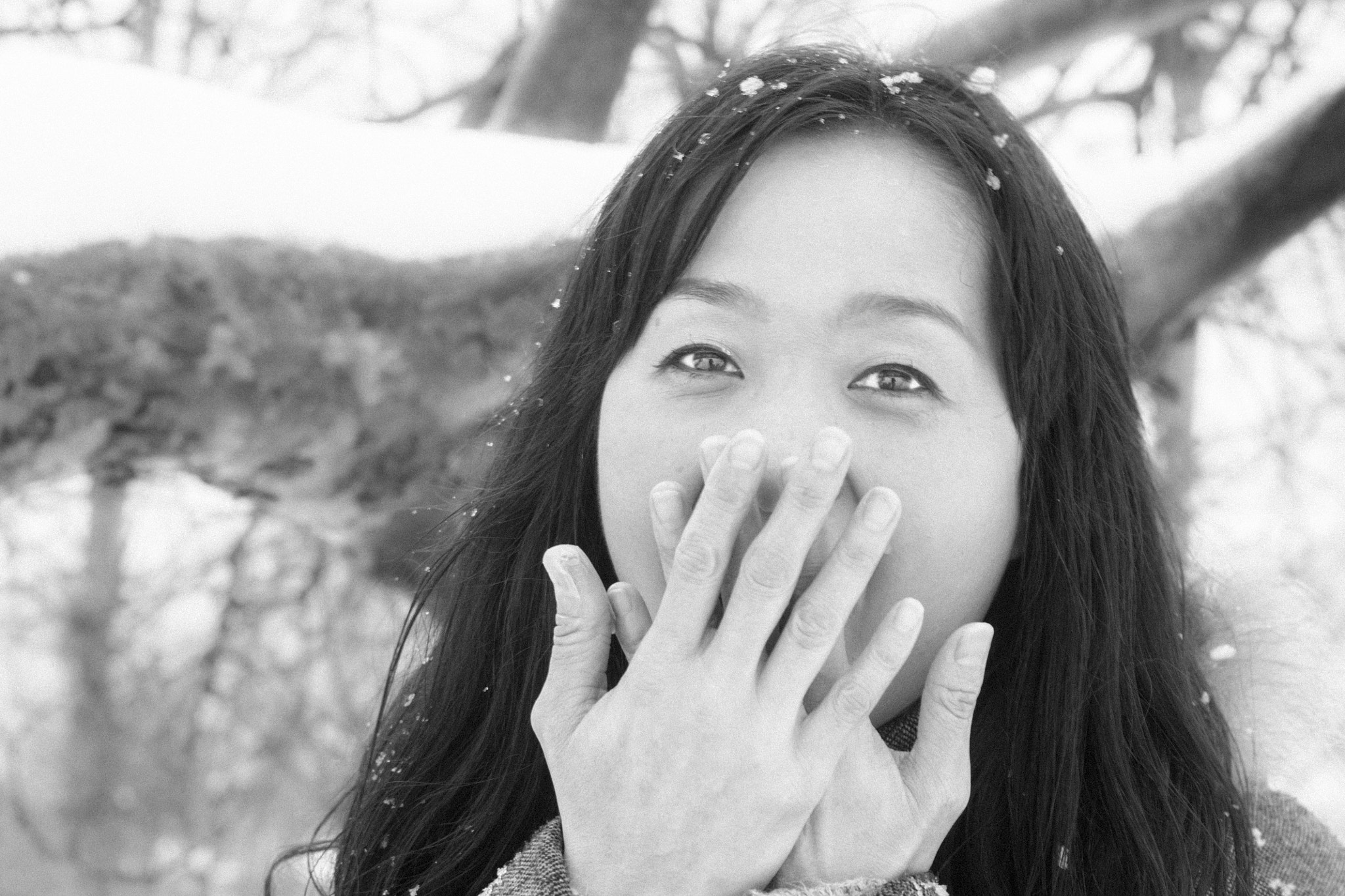 Sony Alpha DSLR-A500 + Sony 50mm F1.4 sample photo. Winter beauty photography