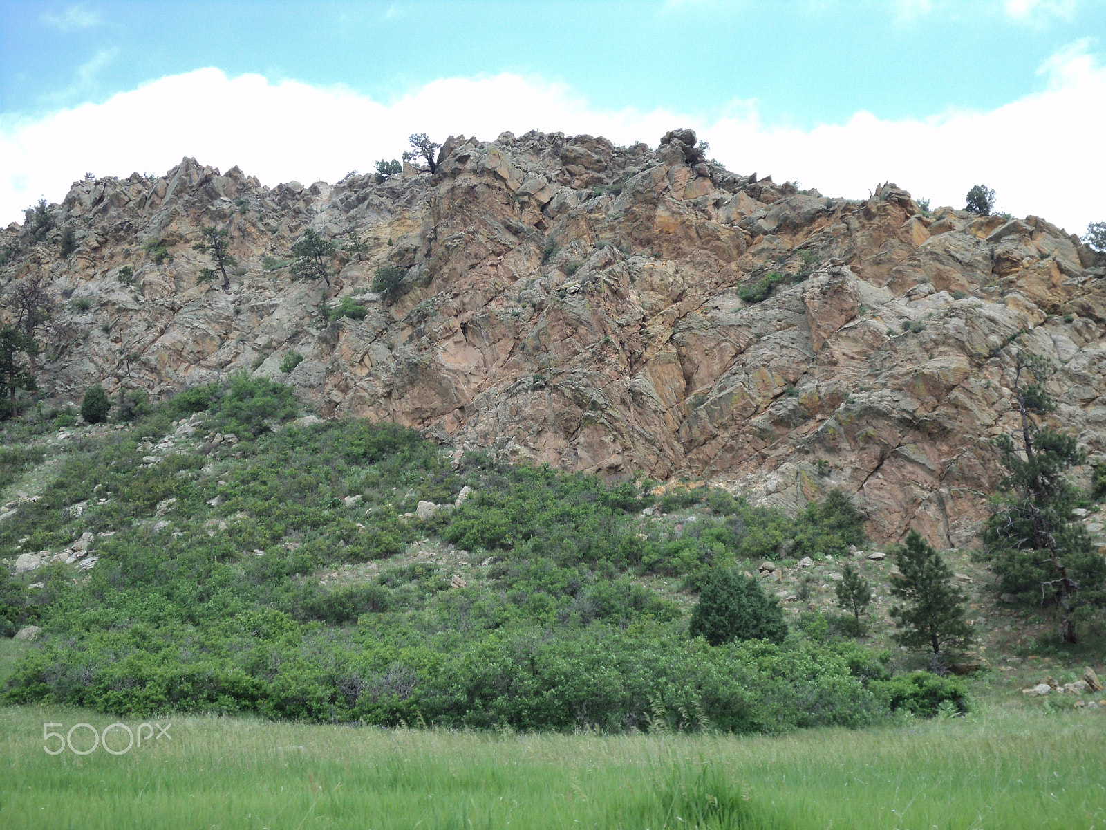 Sony DSC-S2100 sample photo. Roxborough state park photography