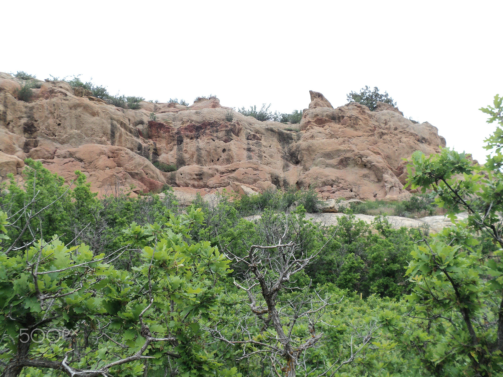 Sony DSC-S2100 sample photo. Roxborough state park photography