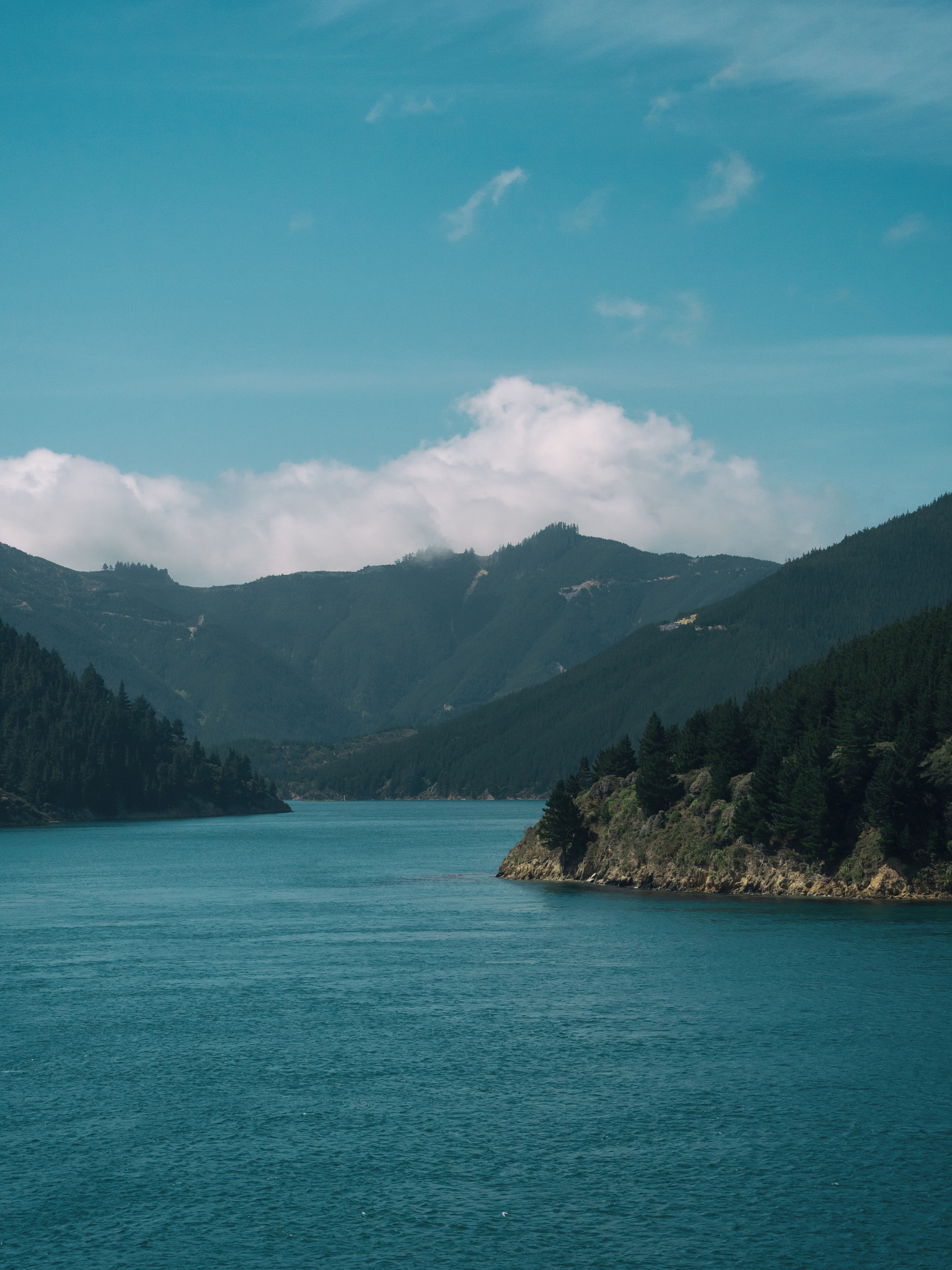 Panasonic Lumix DMC-GX8 + Olympus M.Zuiko Digital ED 40-150mm F2.8 Pro sample photo. Picton ferry photography